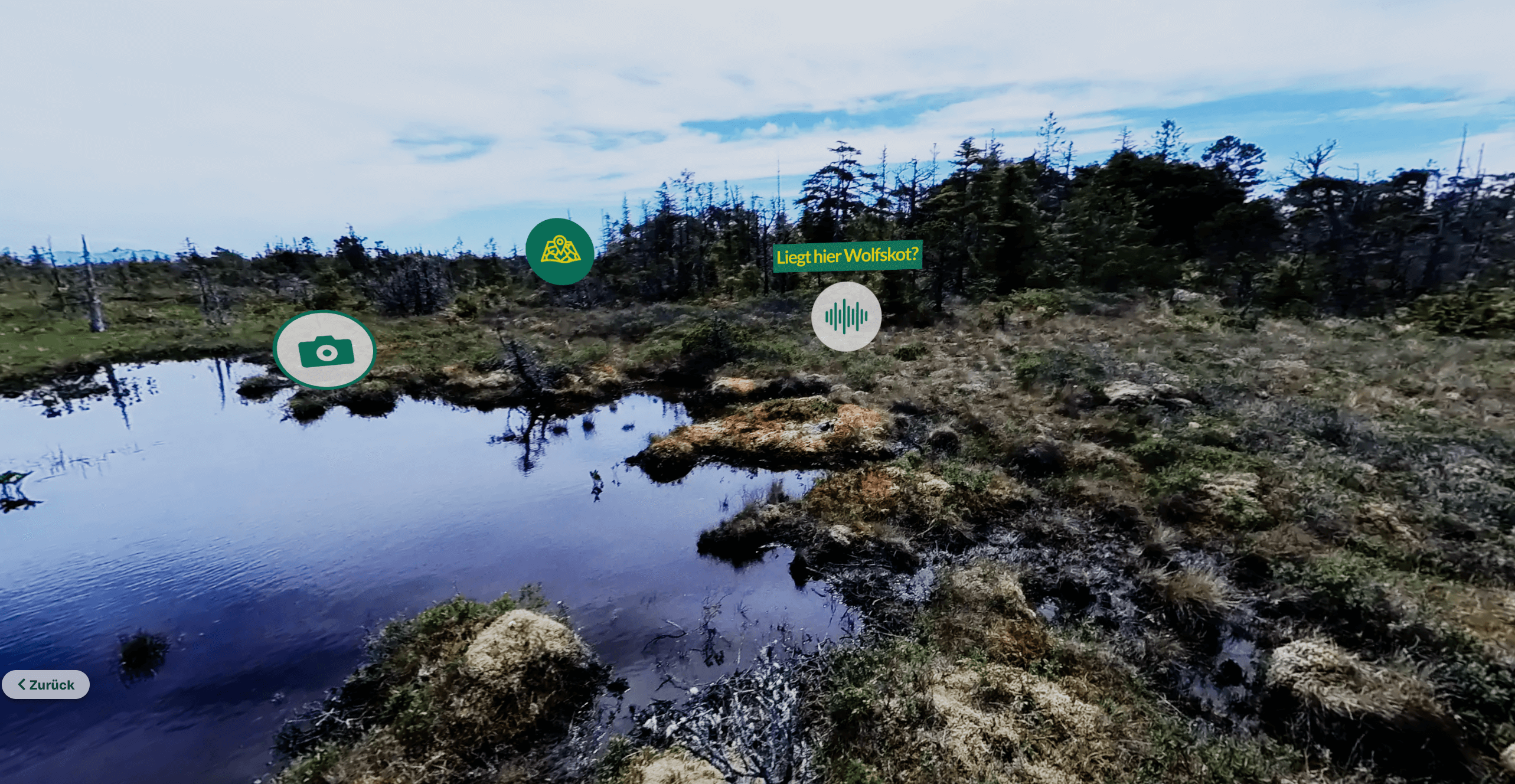 Wilderness International