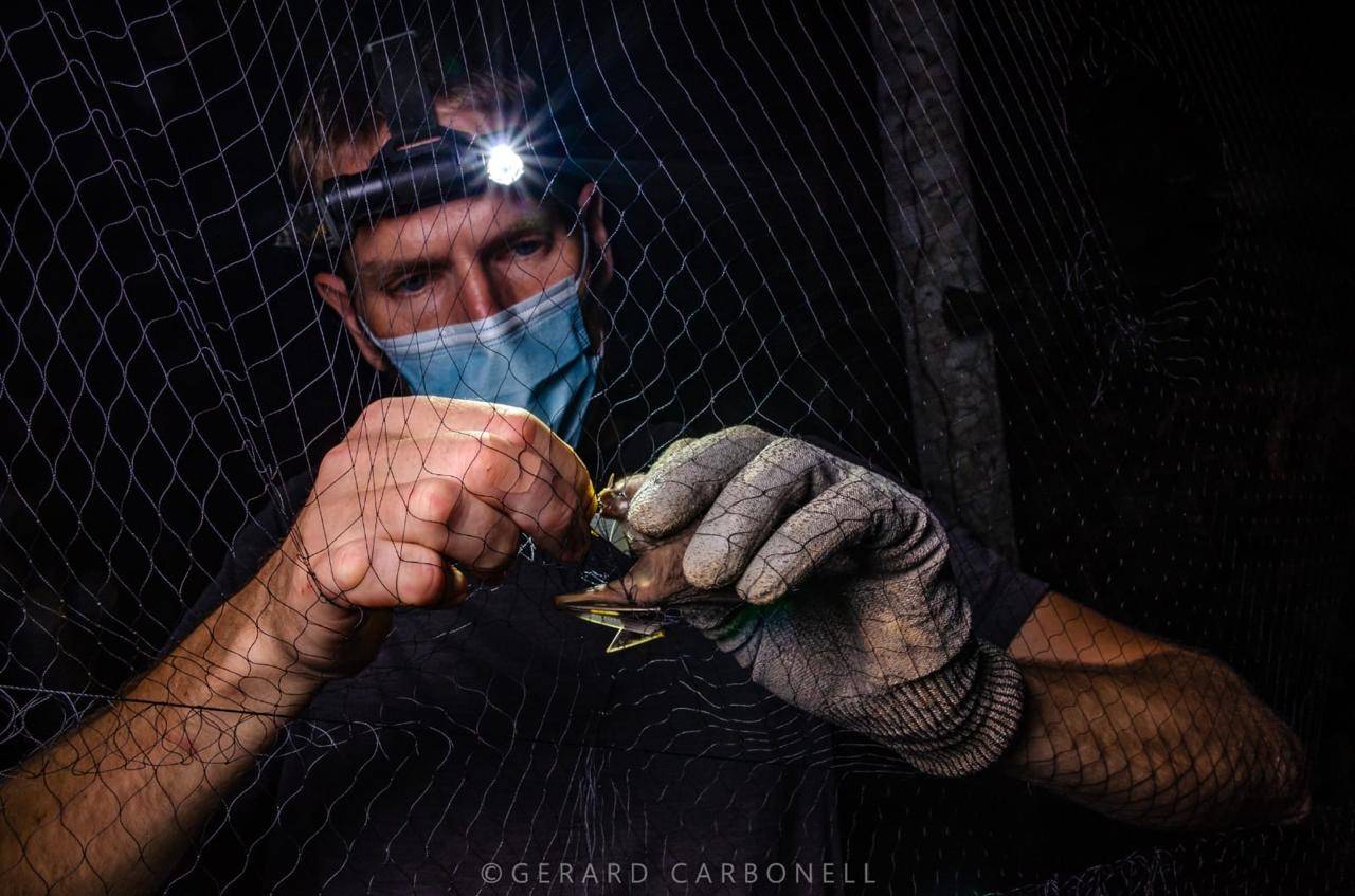 Wilderness International