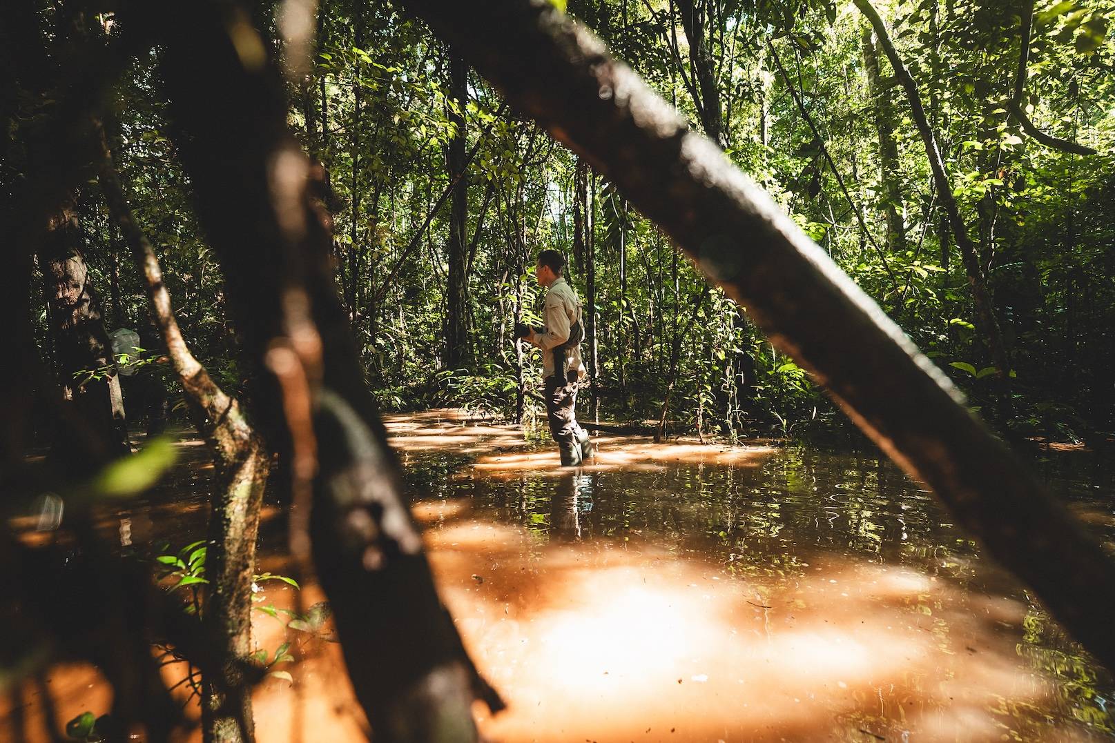 Wilderness International