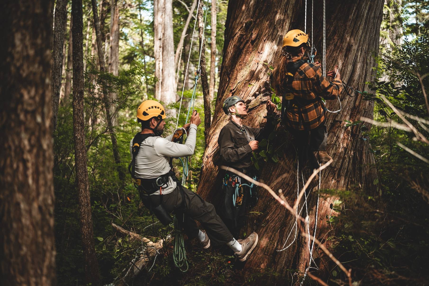 Wilderness International