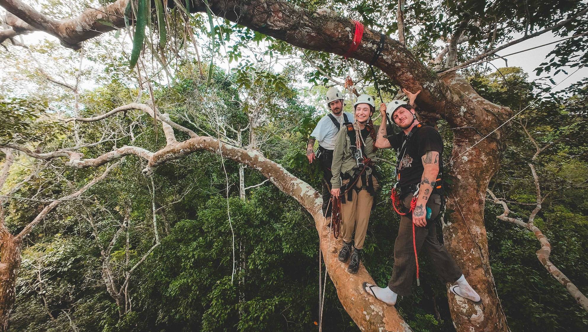 Wilderness International