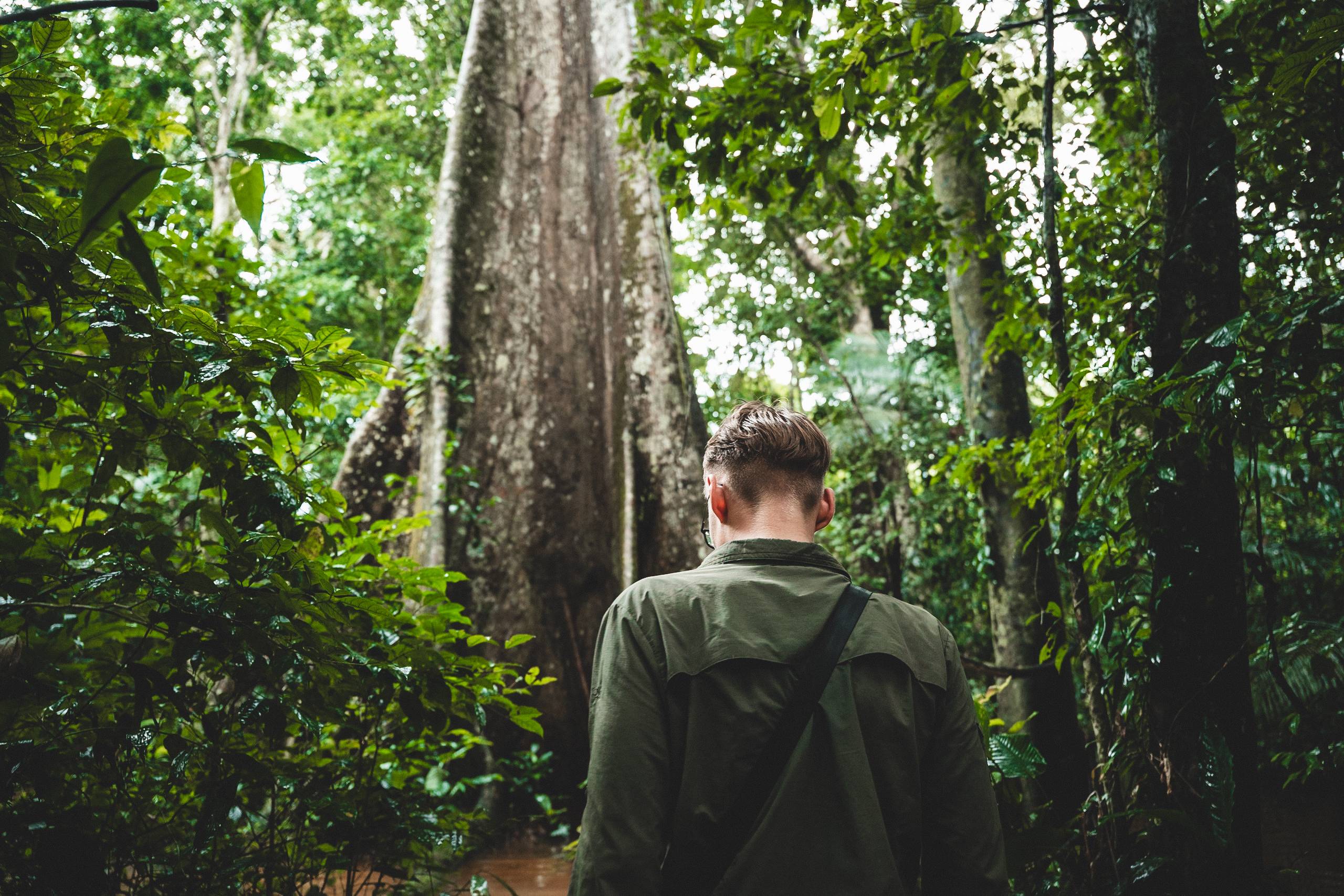 Wilderness International