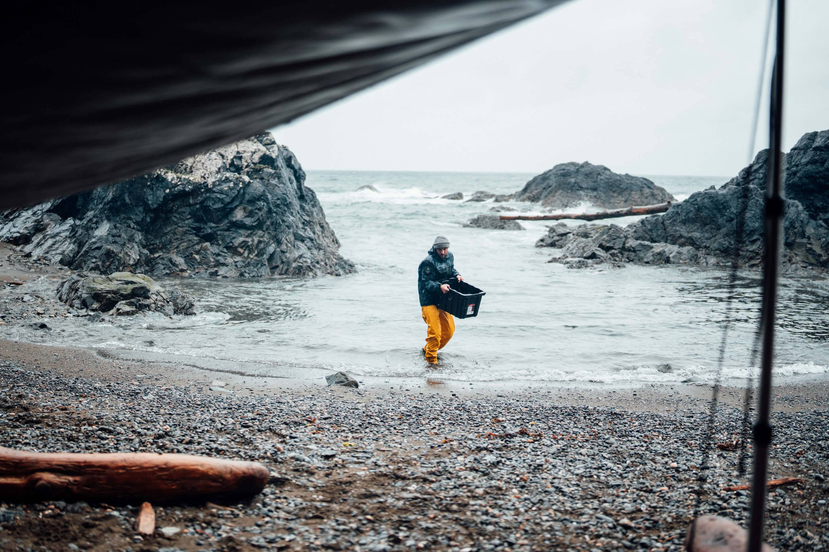 Wilderness International