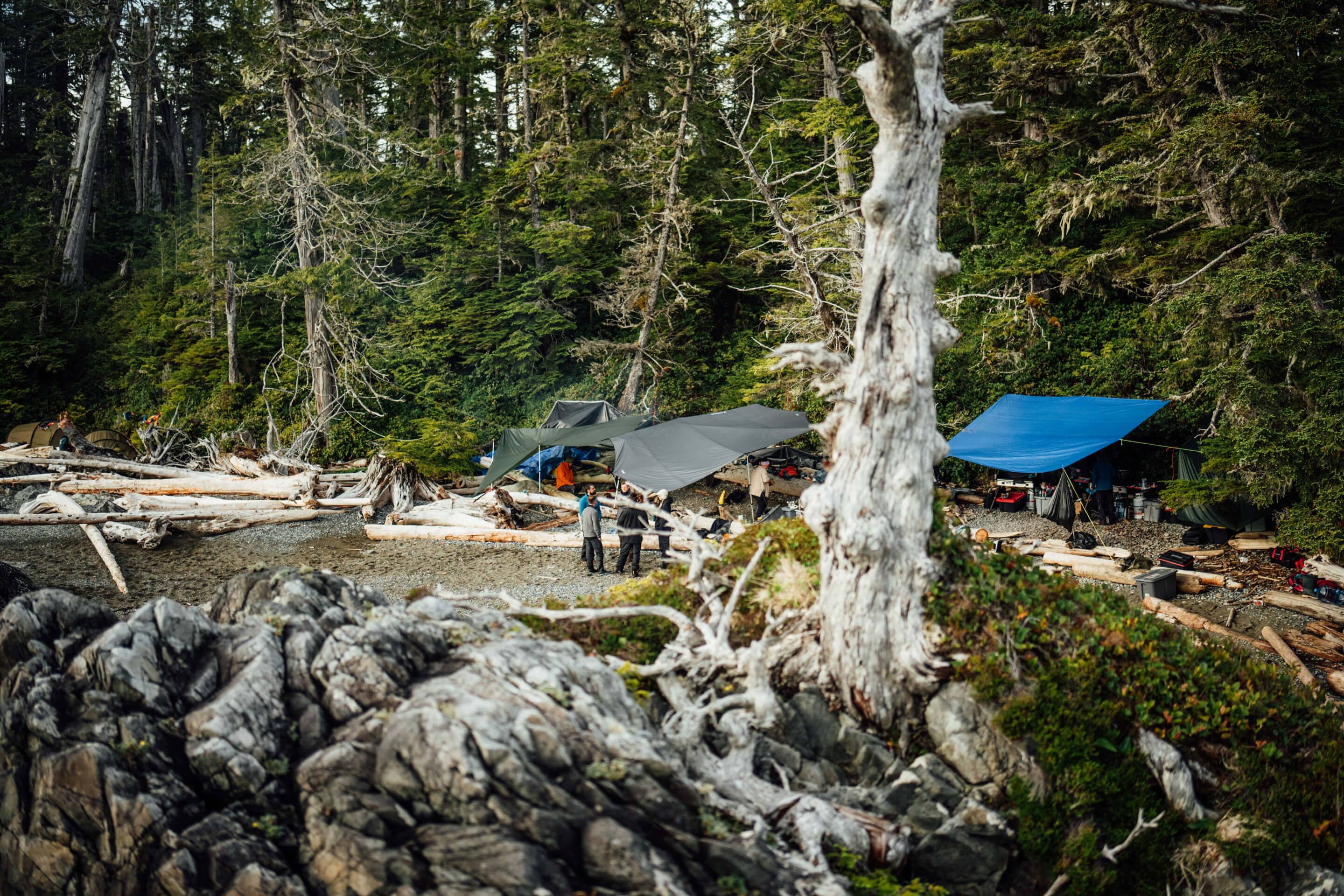 Wilderness International