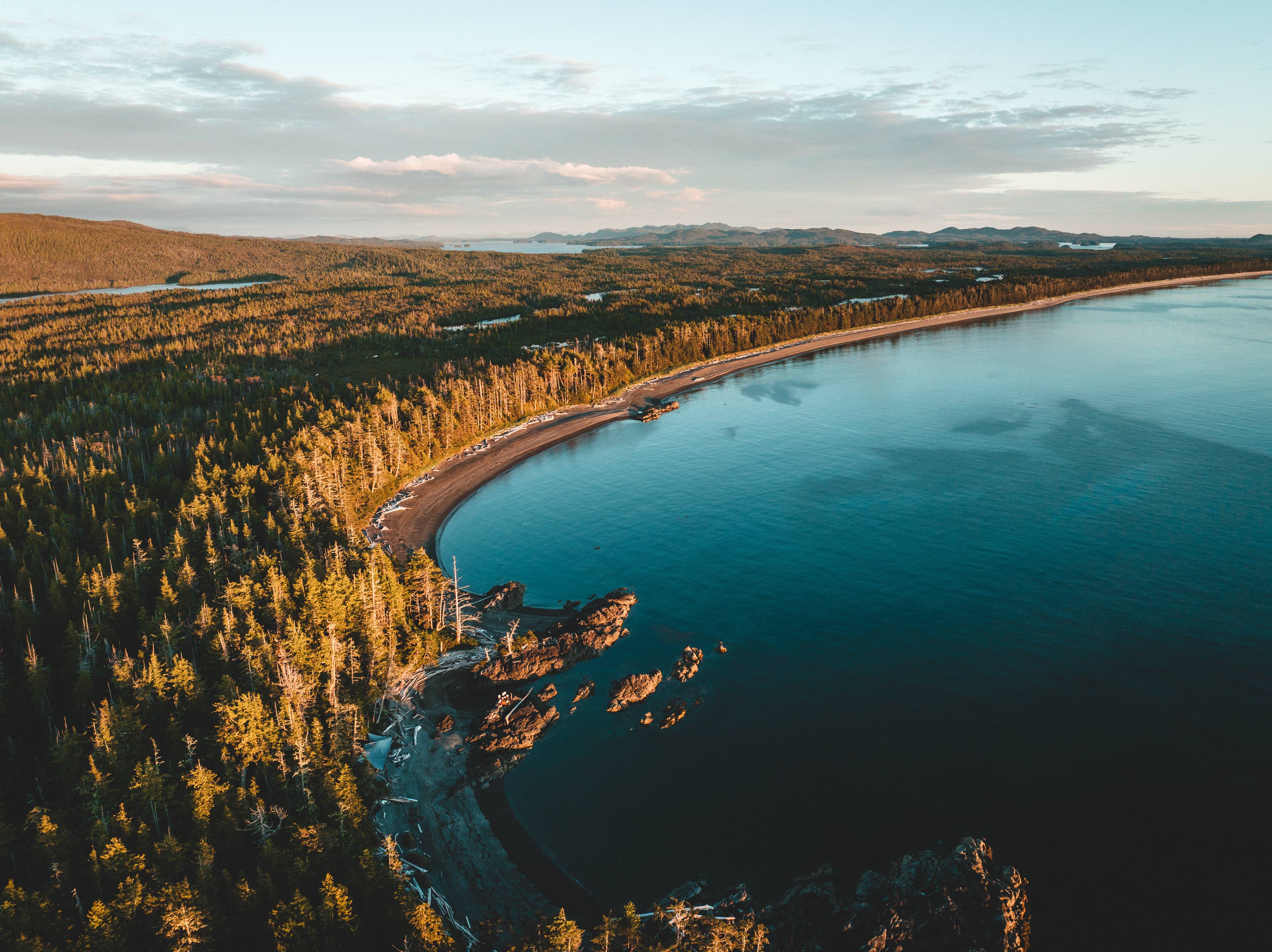 Wilderness International