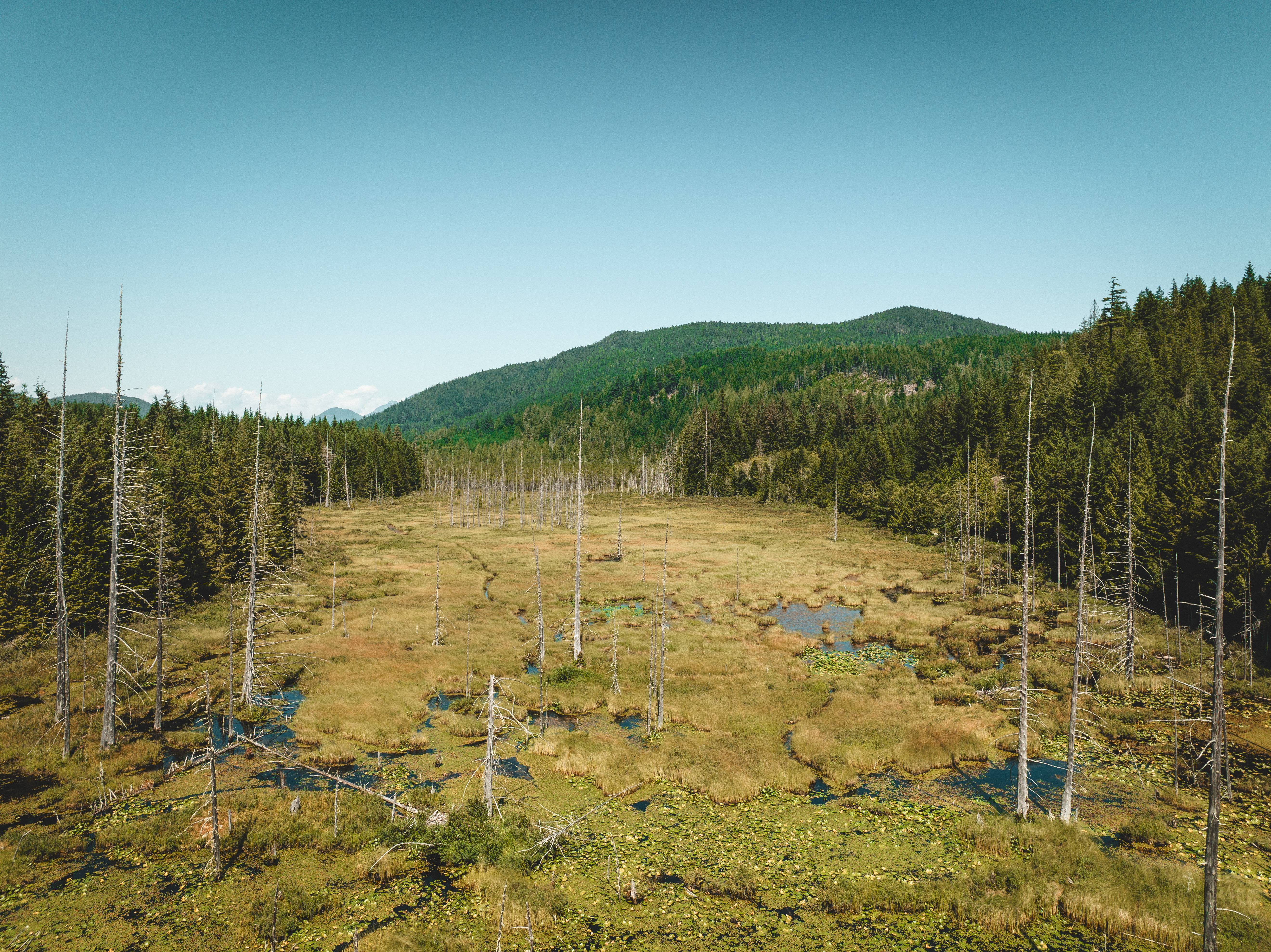 Wilderness International