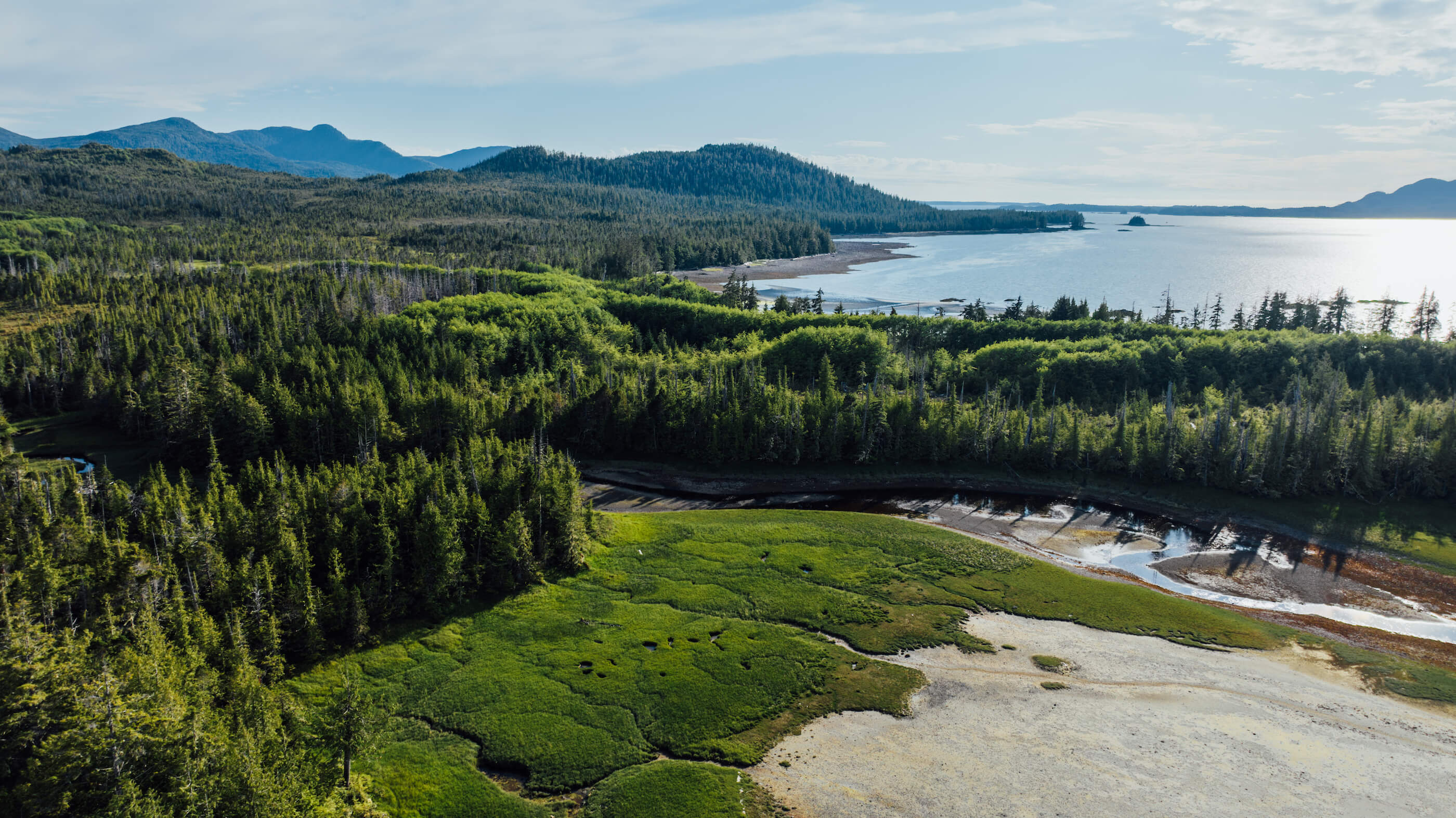 Wilderness International