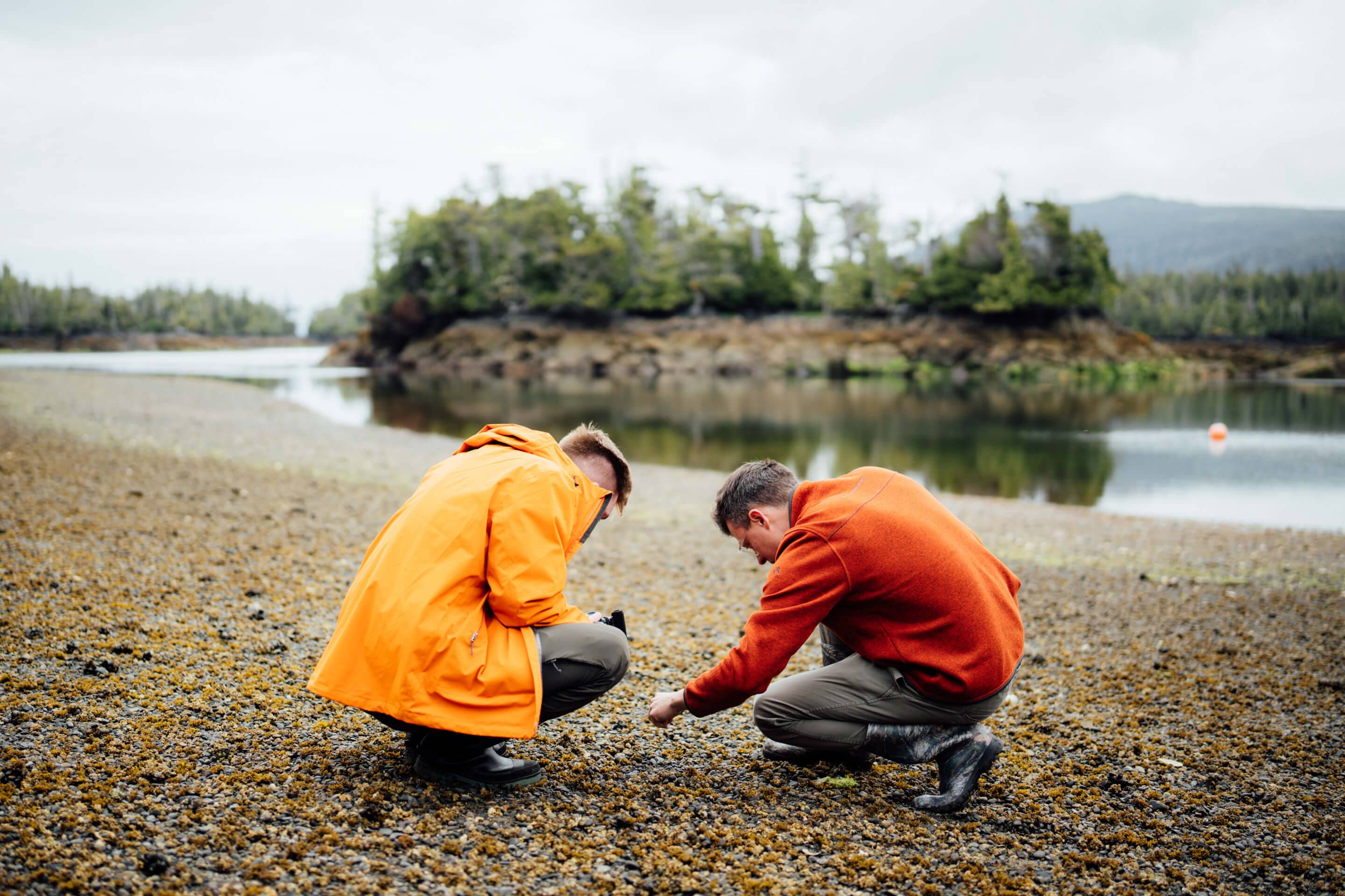 Wilderness International