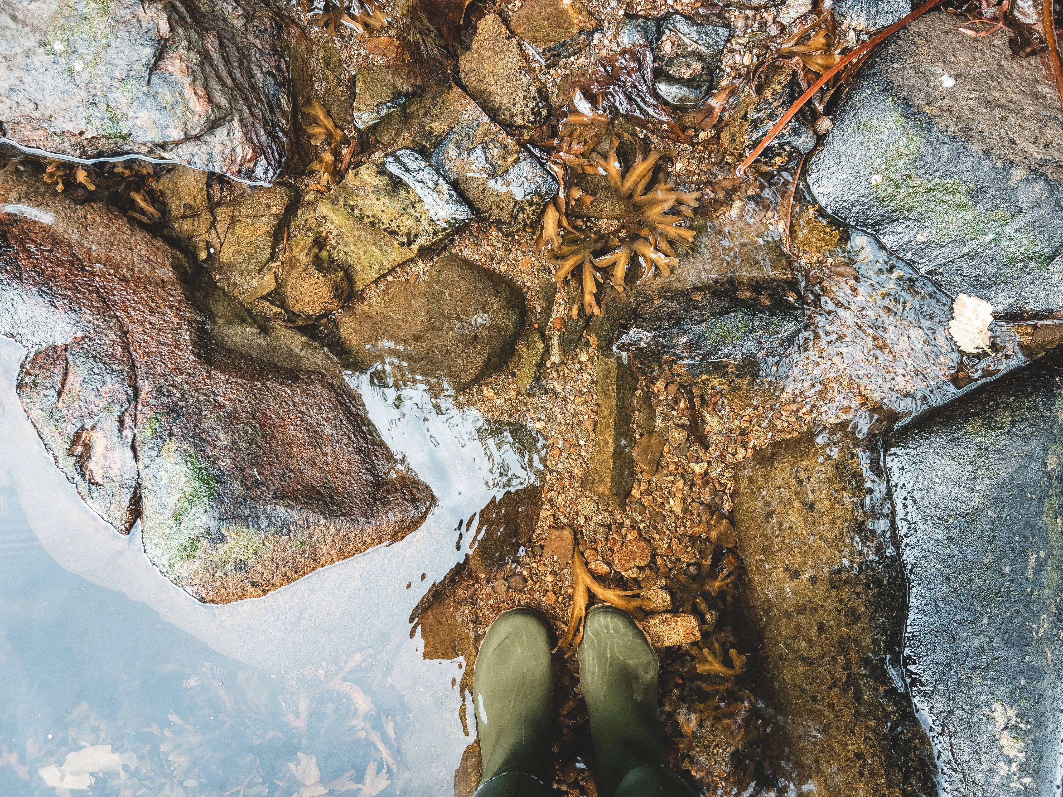 Wilderness International