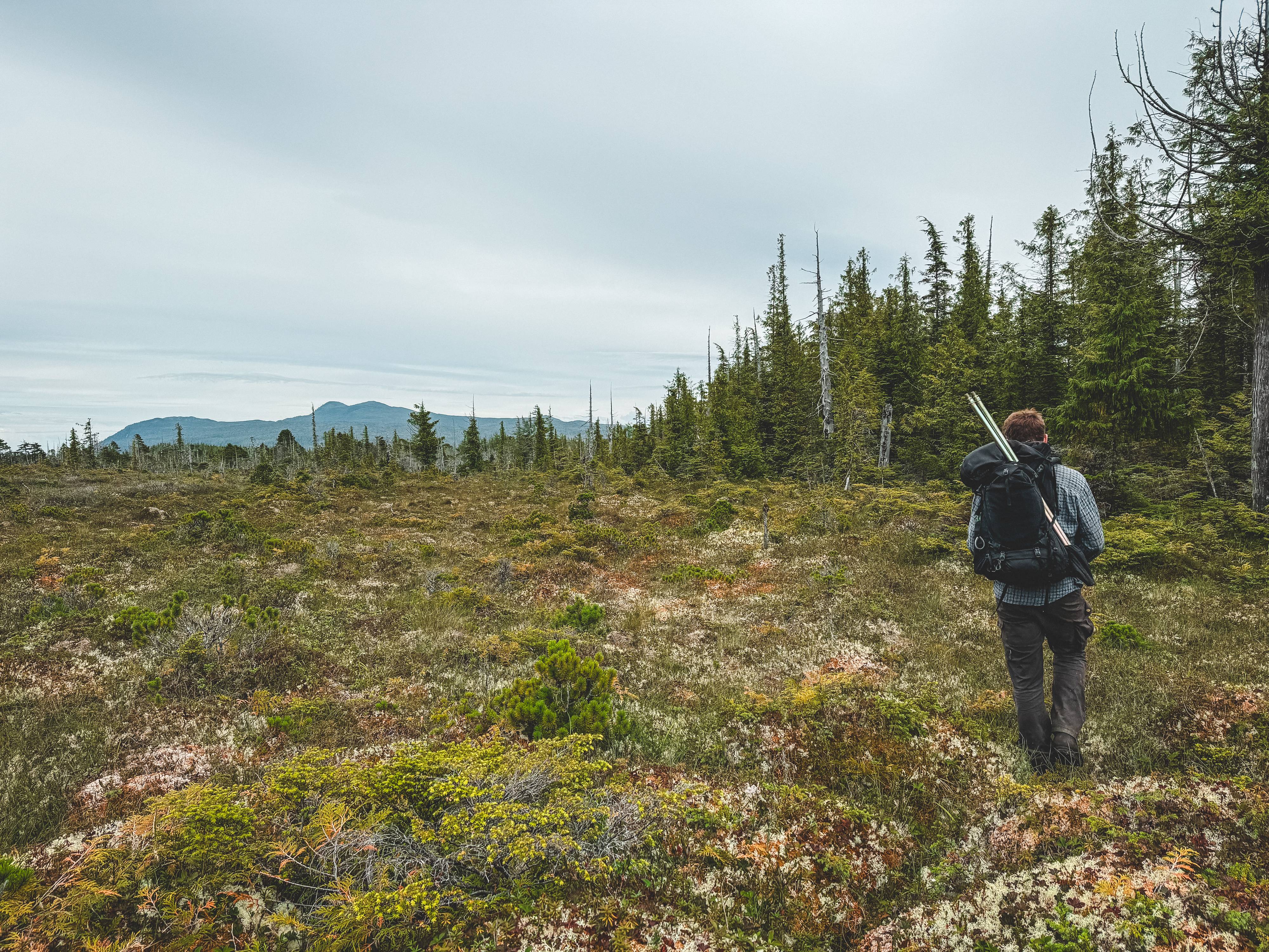 Wilderness International