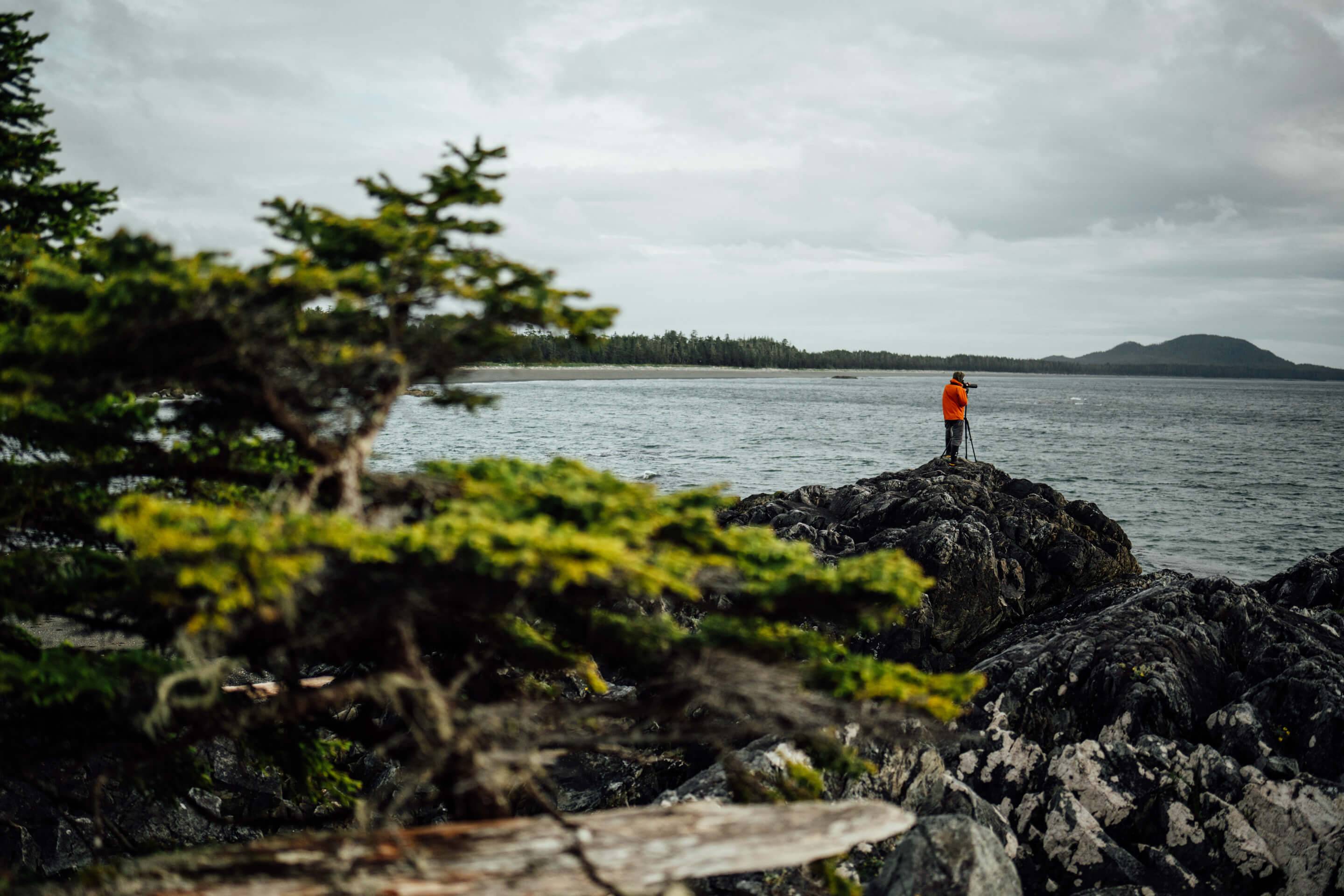 Wilderness International