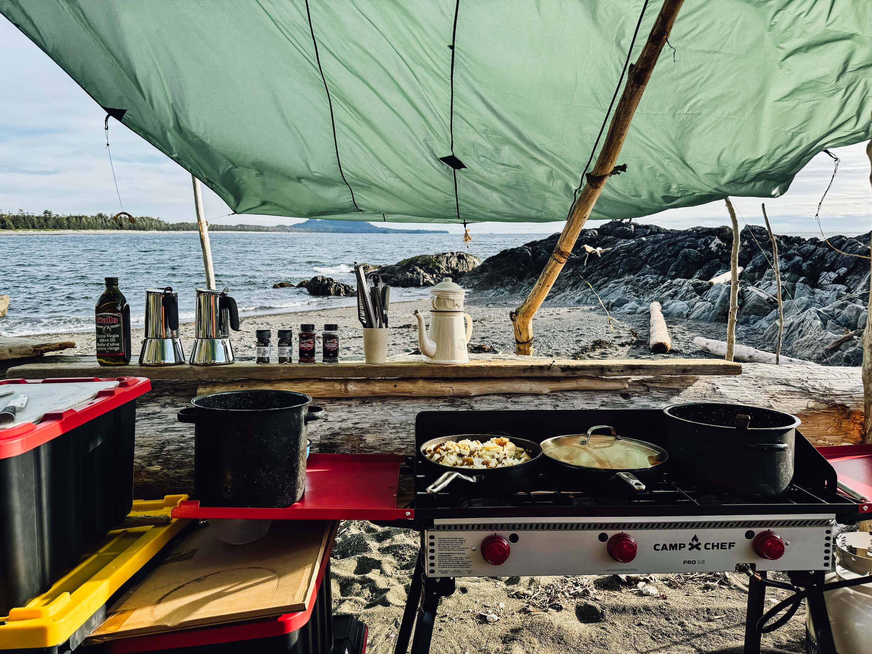 Wilderness International