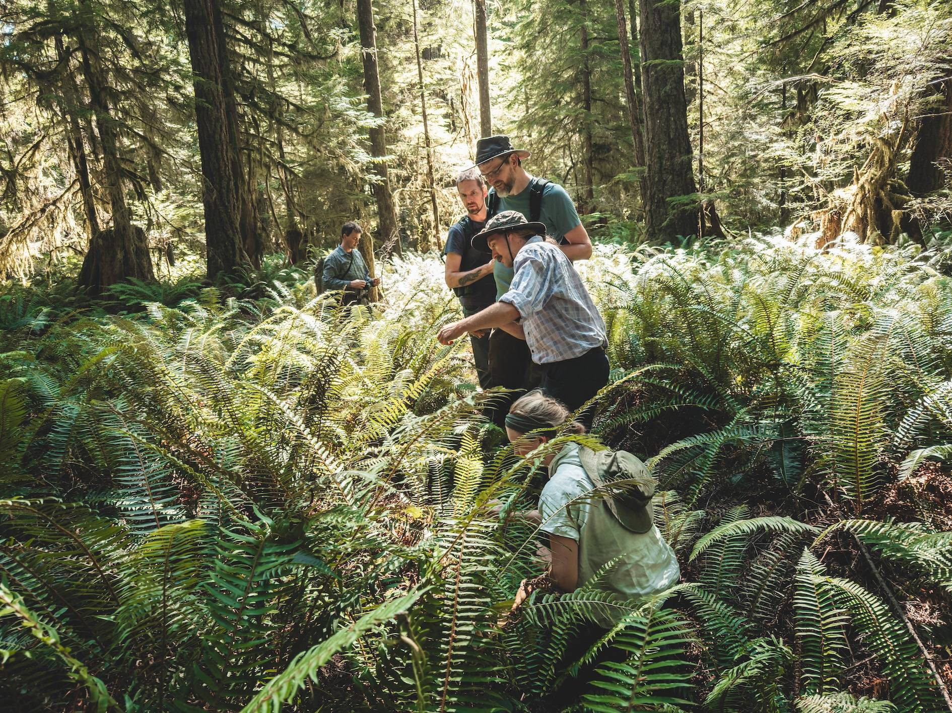 Wilderness International