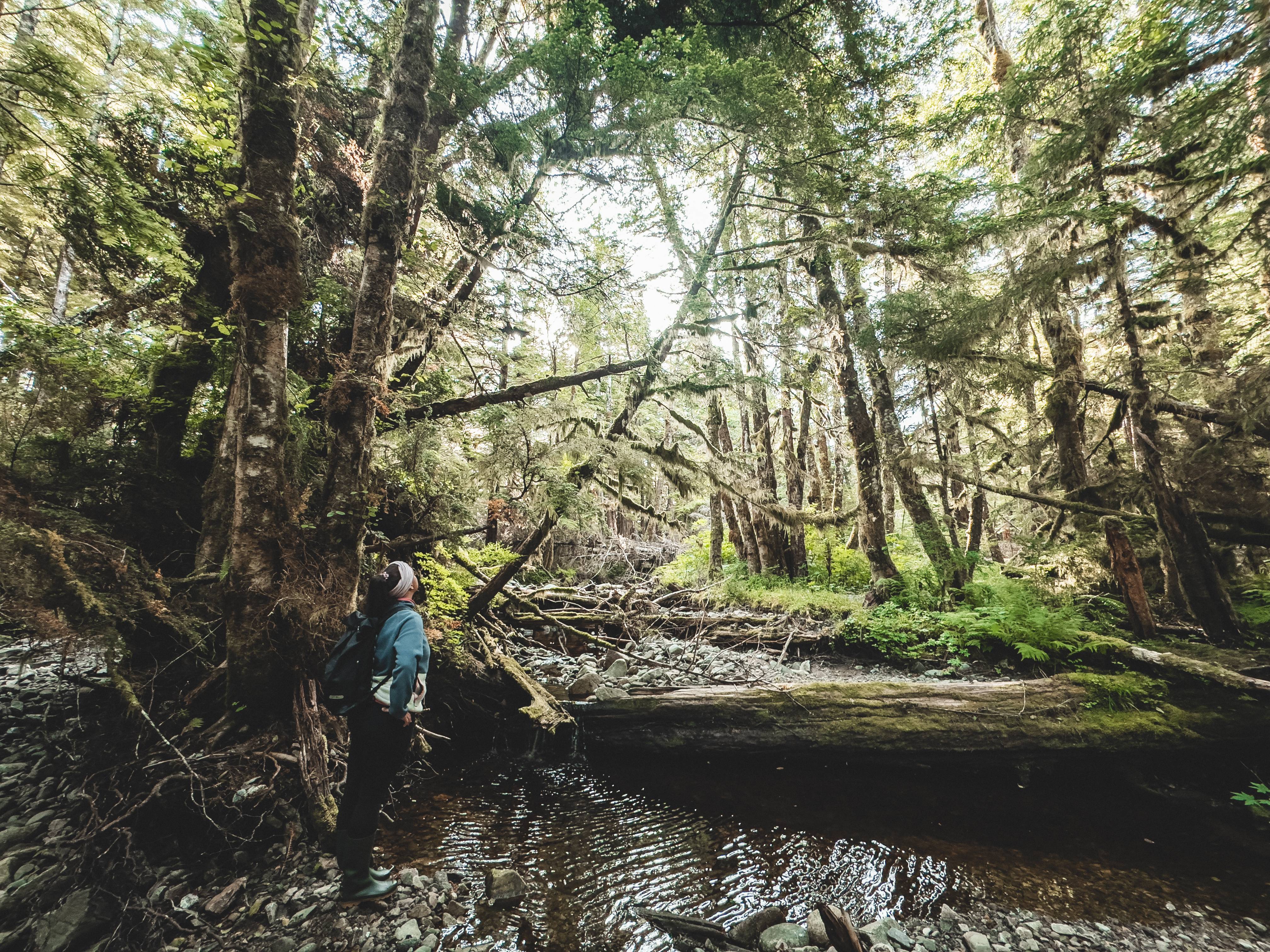 Wilderness International