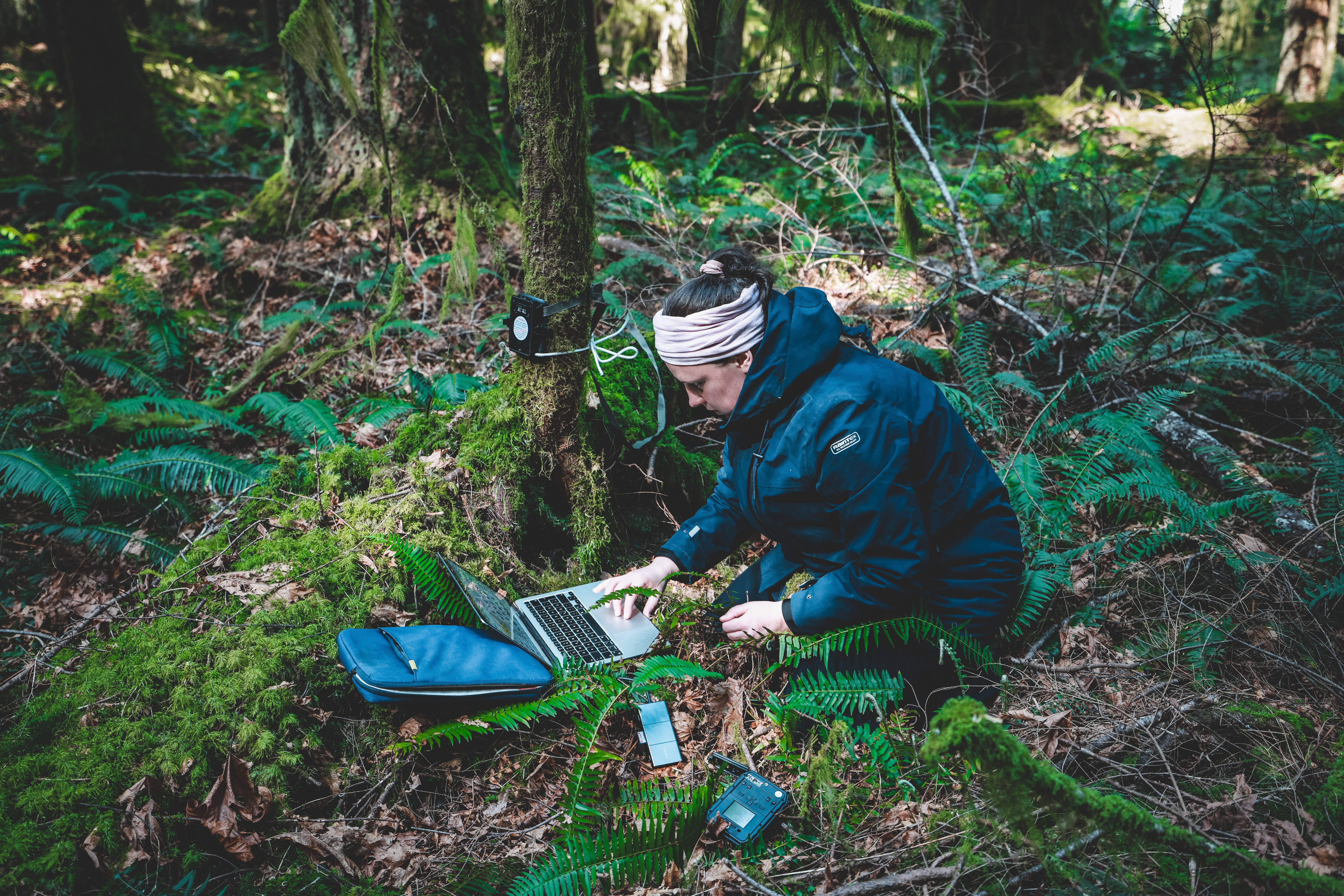 Wilderness International