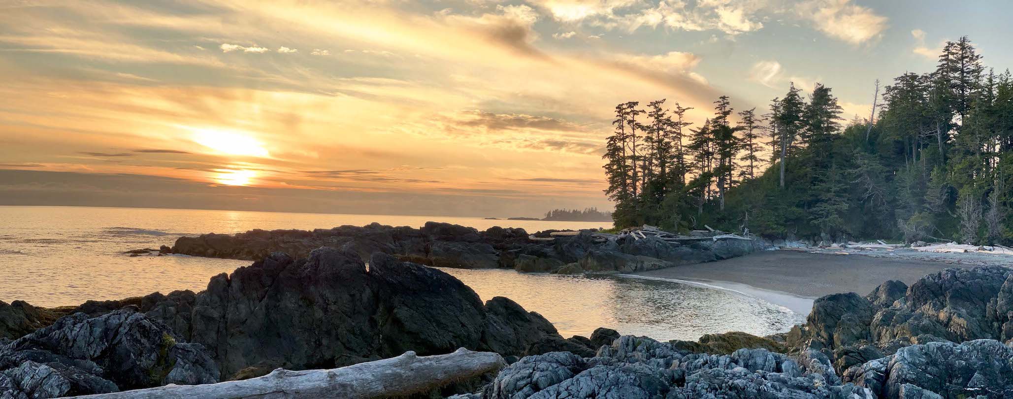 Fog is the jewel of the rainforest - even here on the west coast of Canada 