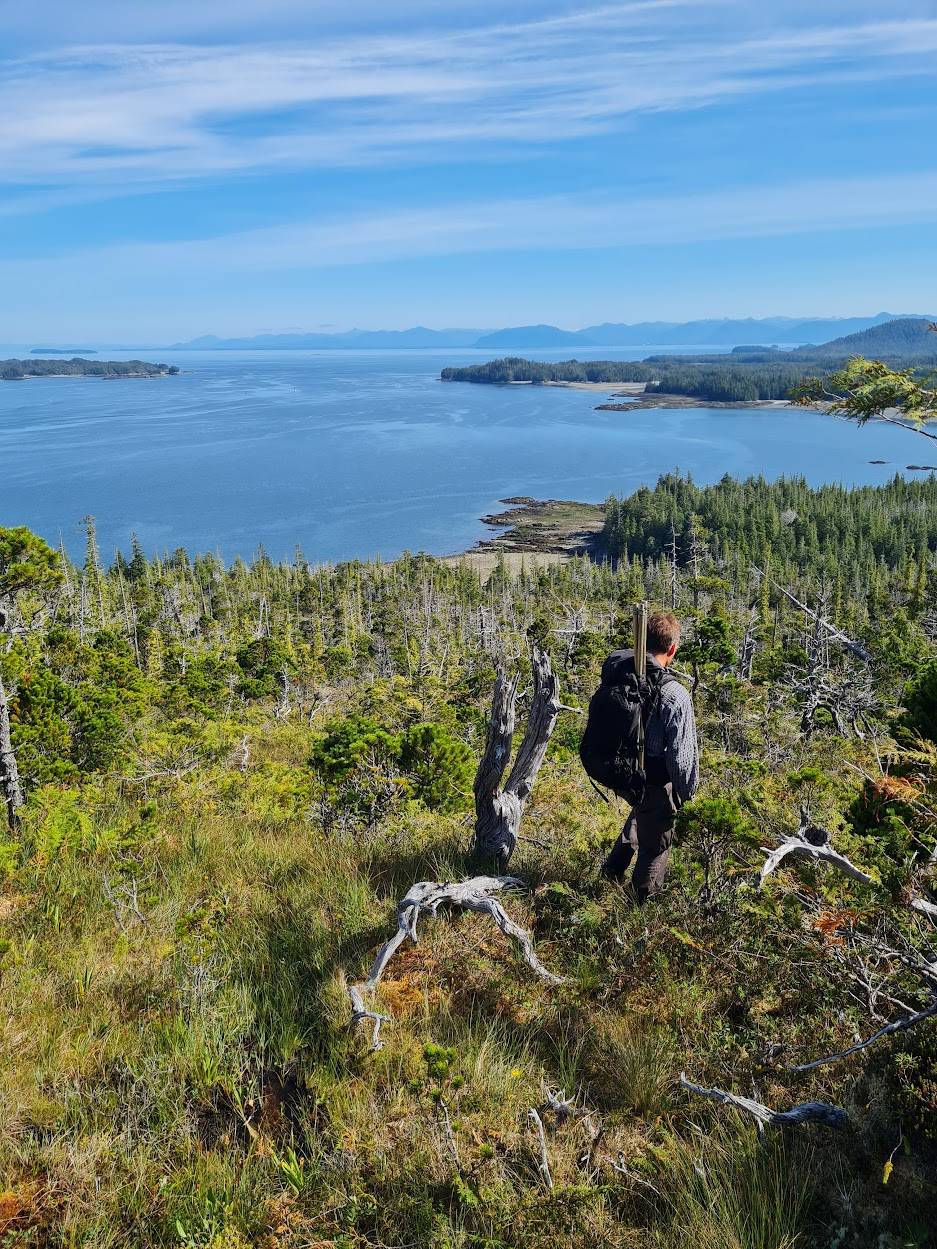 Wilderness International