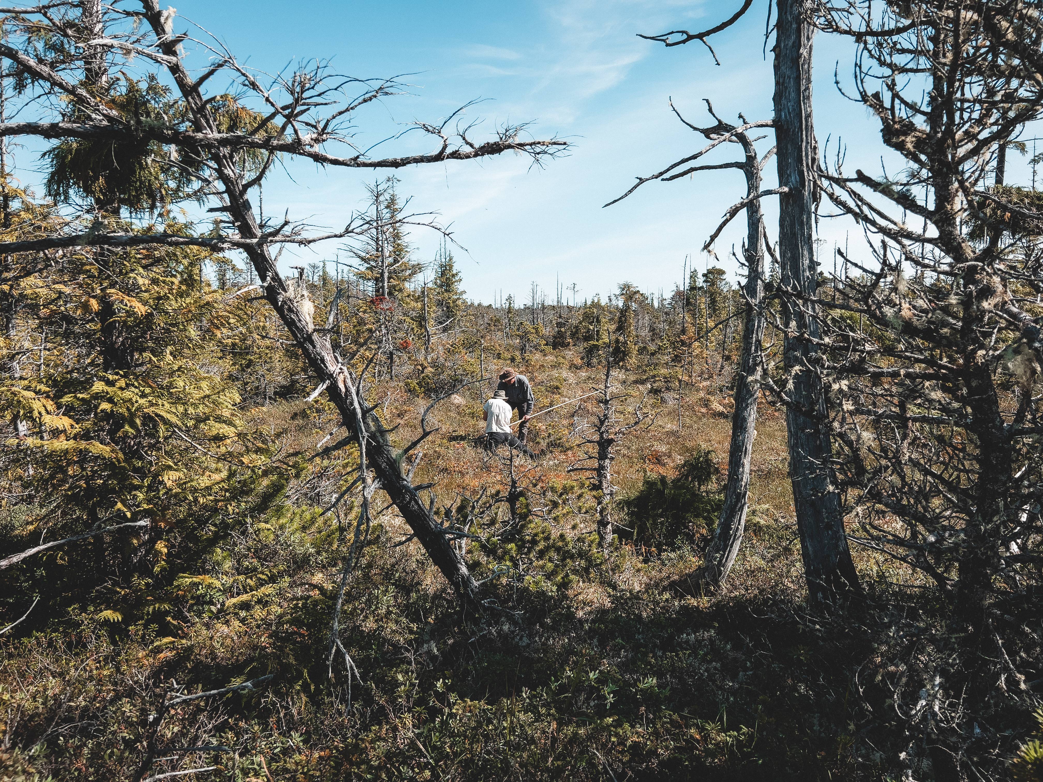 Wilderness International