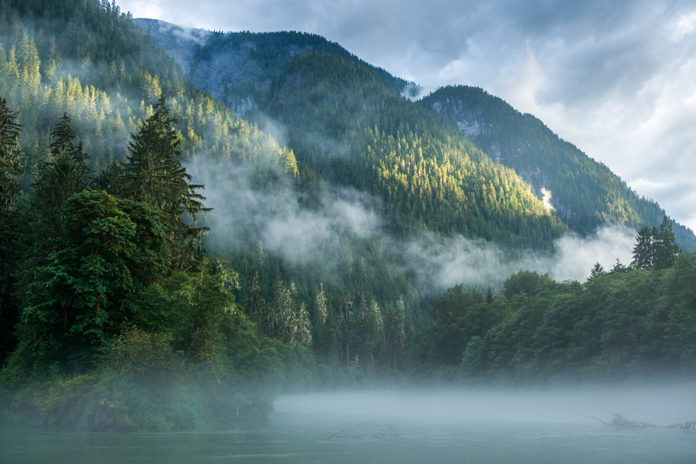 La niebla y las abundantes precipitaciones son las principales características de los bosques pluviales templados, como es el caso aquí, en la costa oeste de Canadá. 