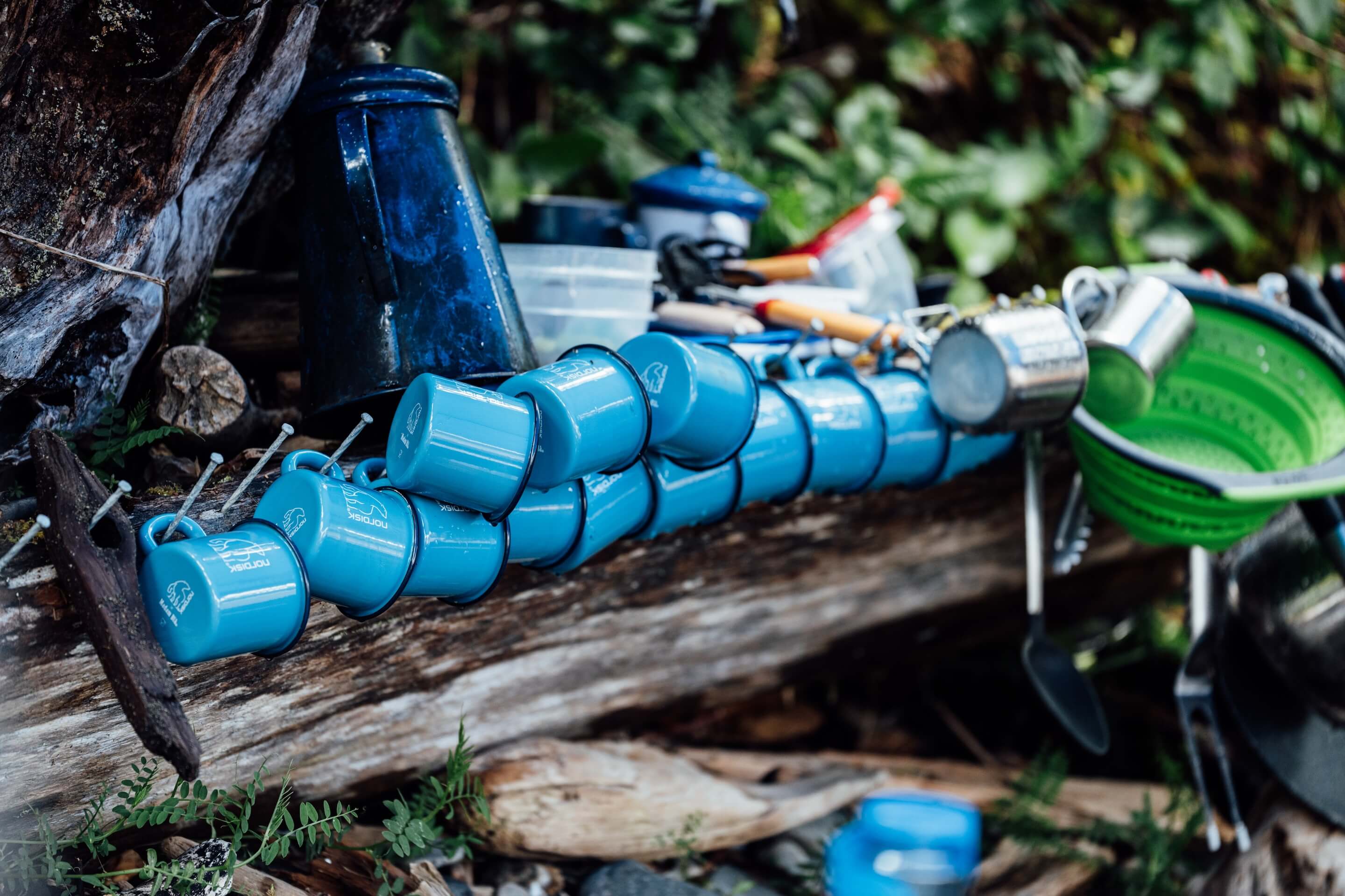 Wilderness International