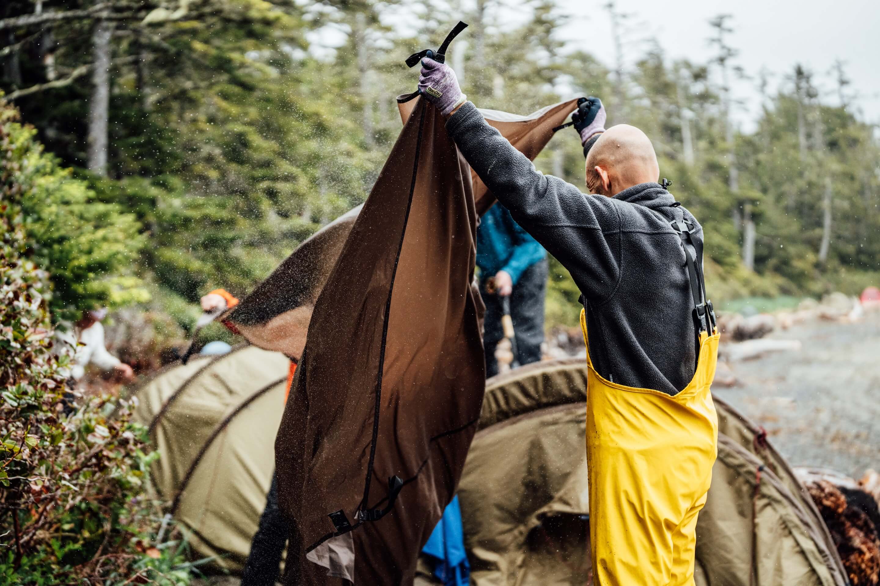 Wilderness International