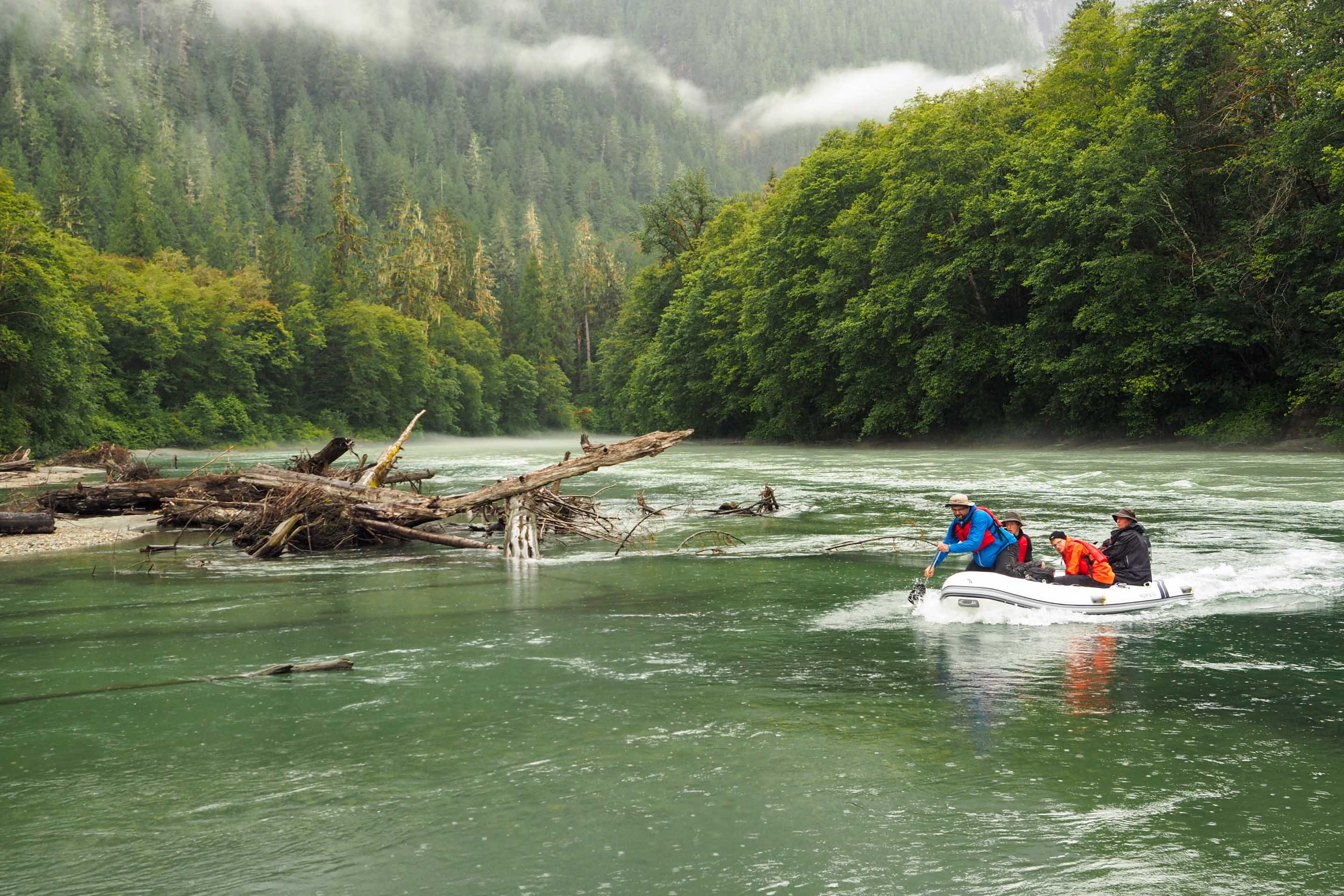 Wilderness International