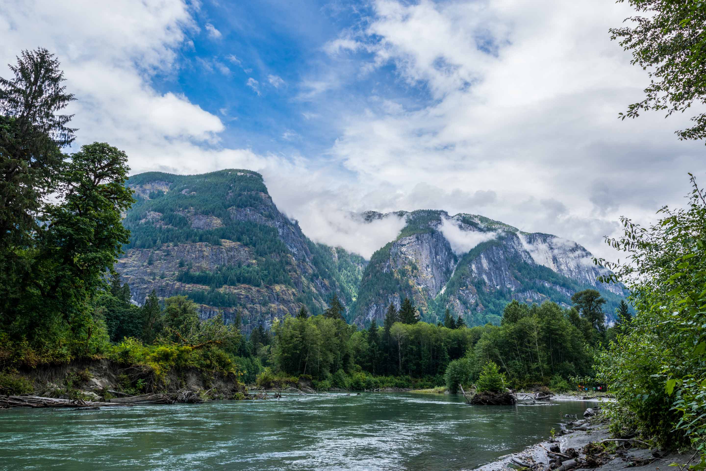 Wilderness International