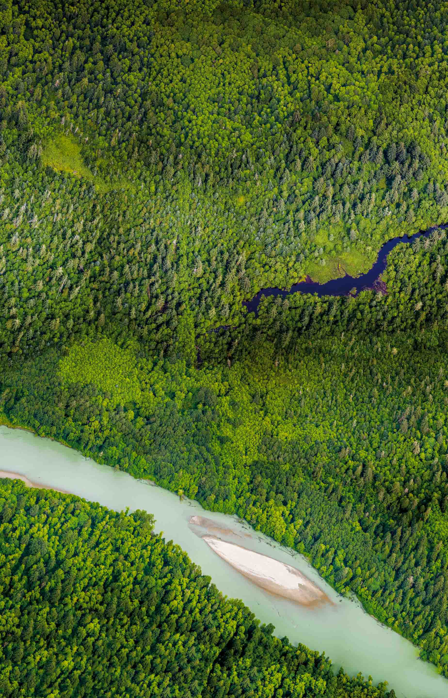 Aerial view Land of Ghost Flowers Toba Valley Canada Wilderness International
