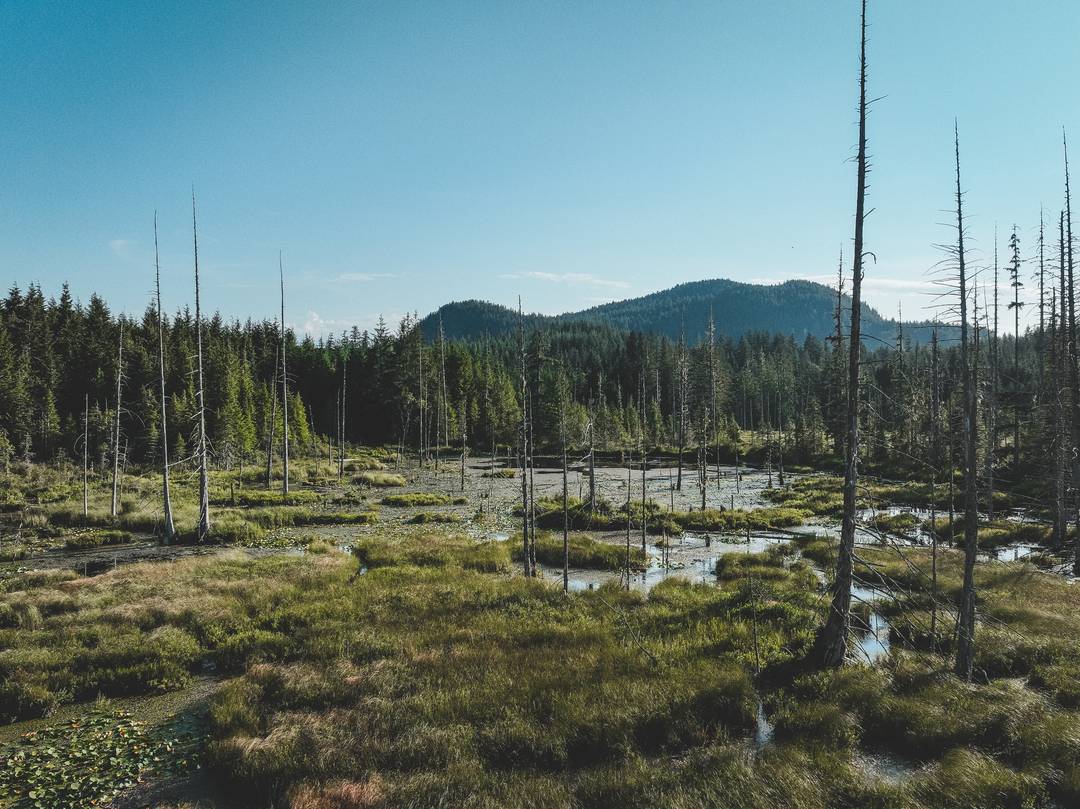 Wilderness International