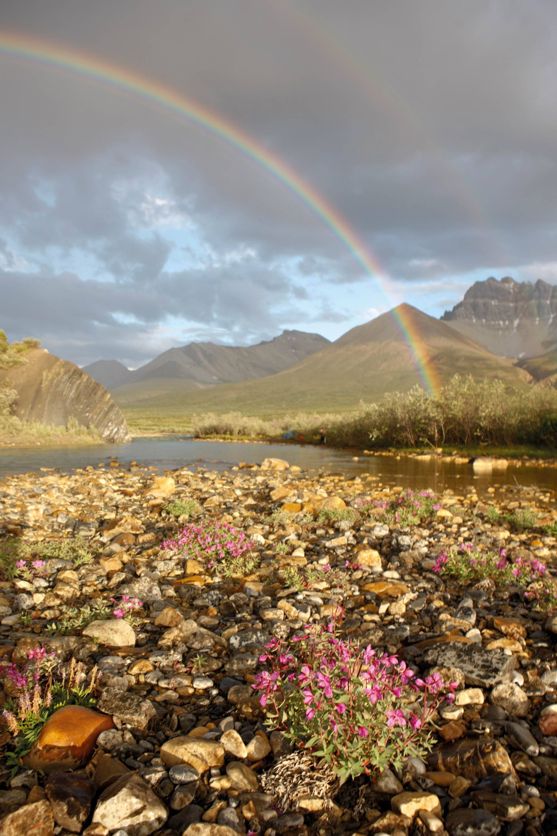 Wilderness International