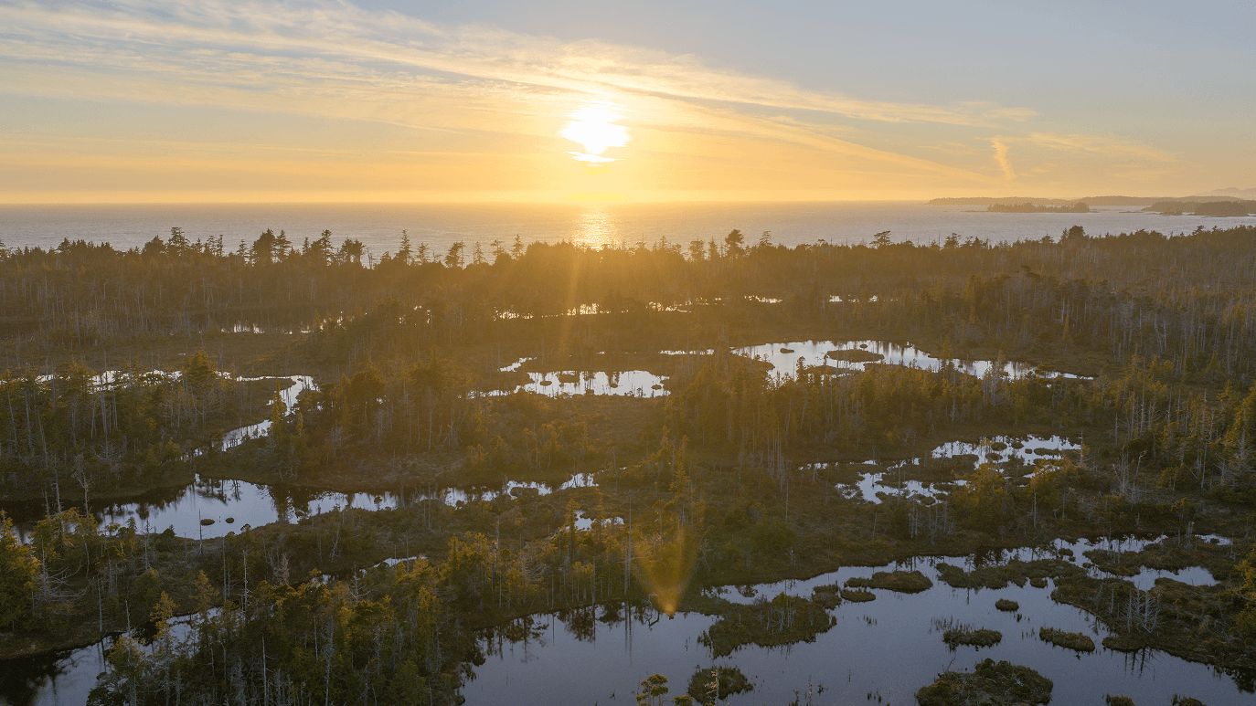 Wilderness International