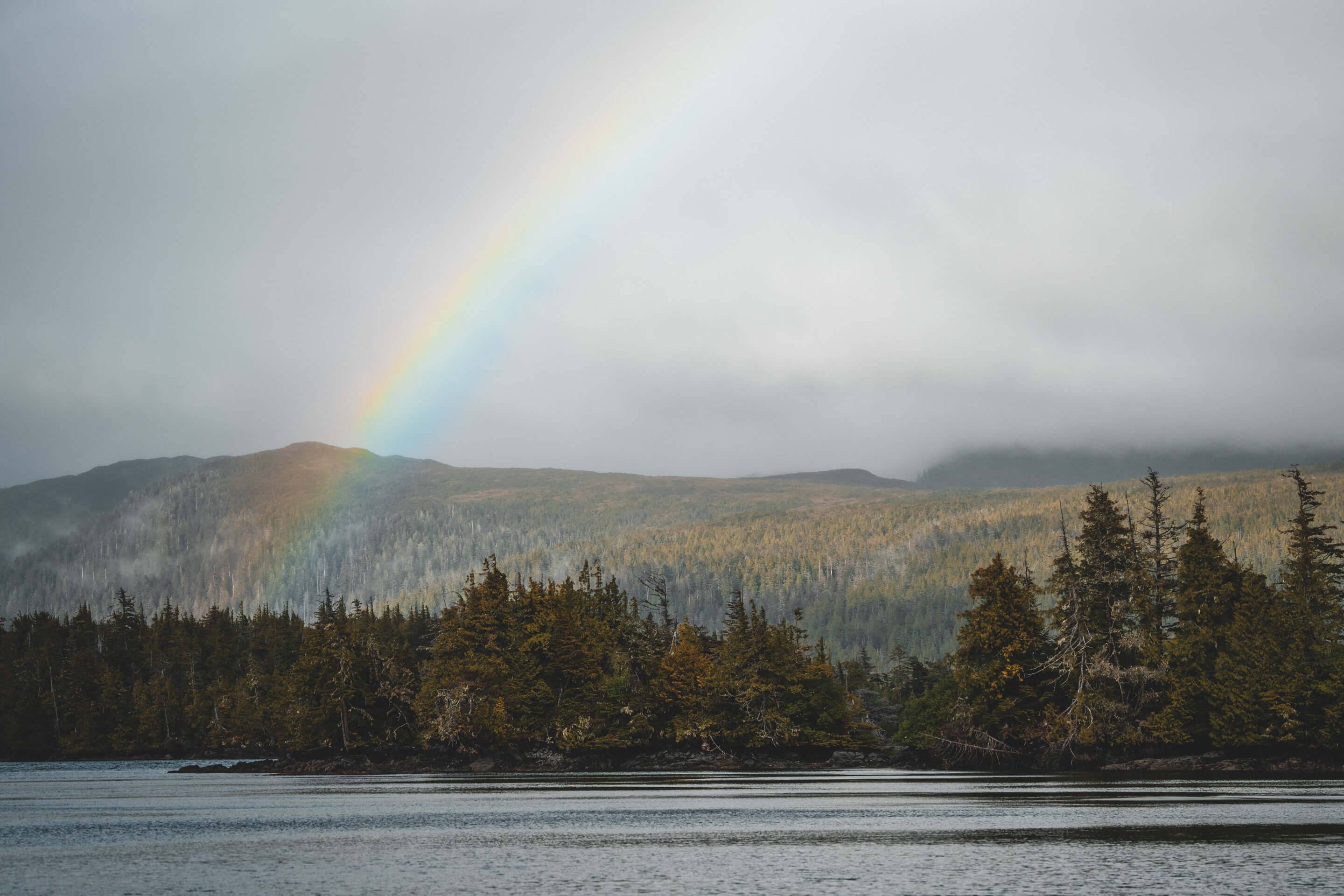 Wilderness International