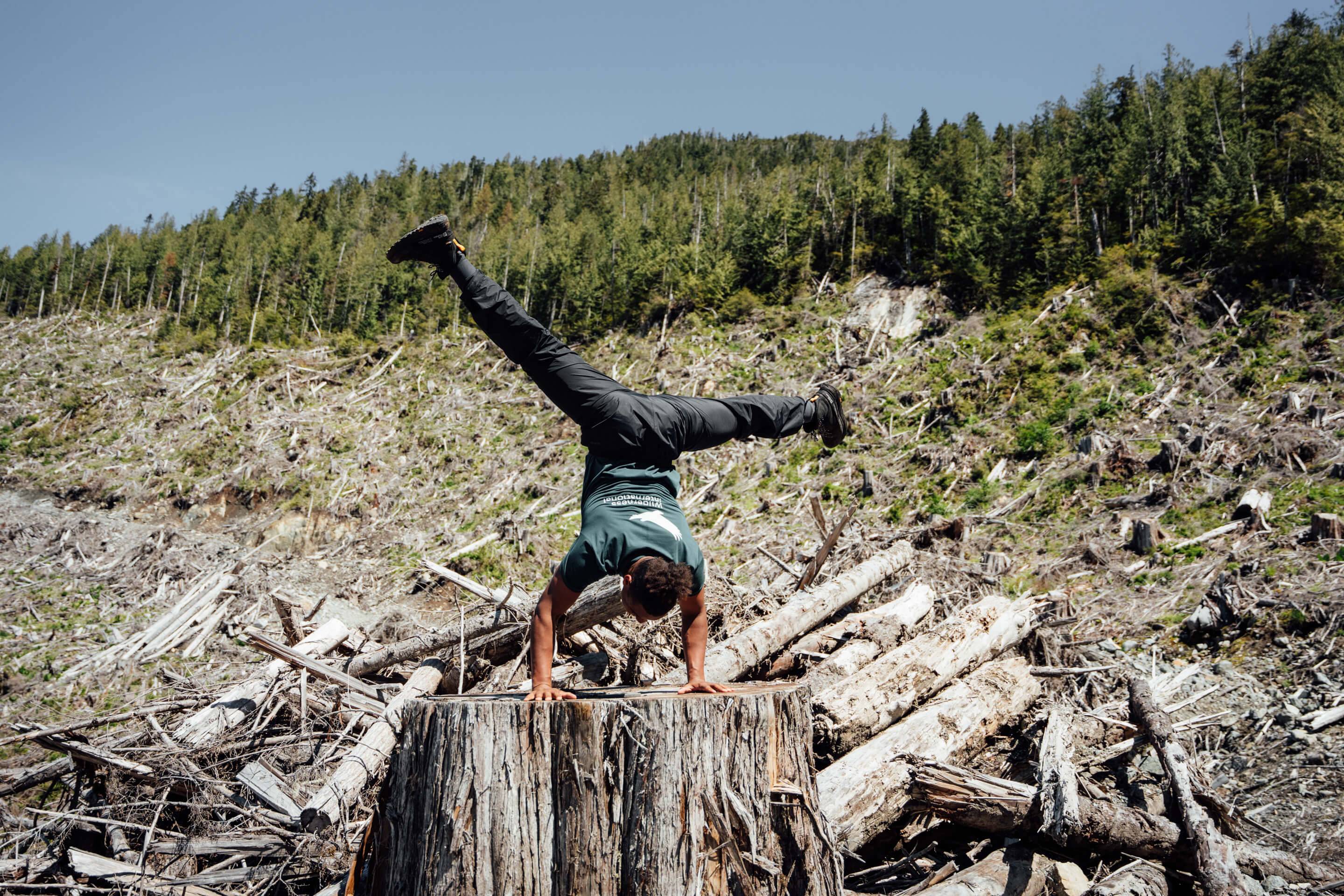 Wilderness International