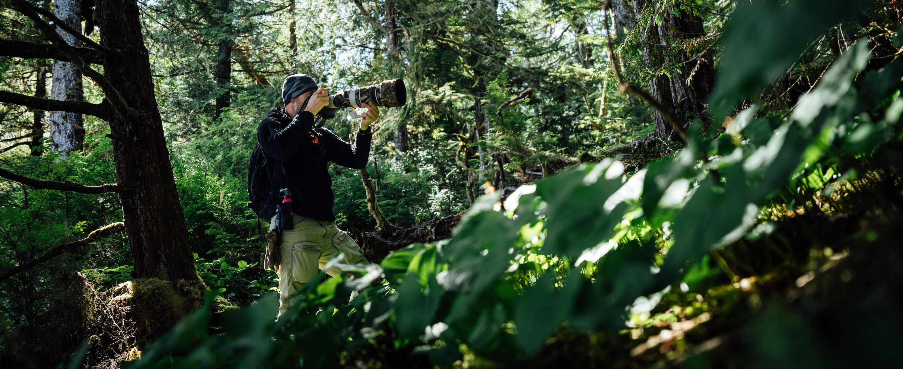 Crafting Your Photography Mission Statement Kosmo Crafting Your Photography Mission Statement Kosmo