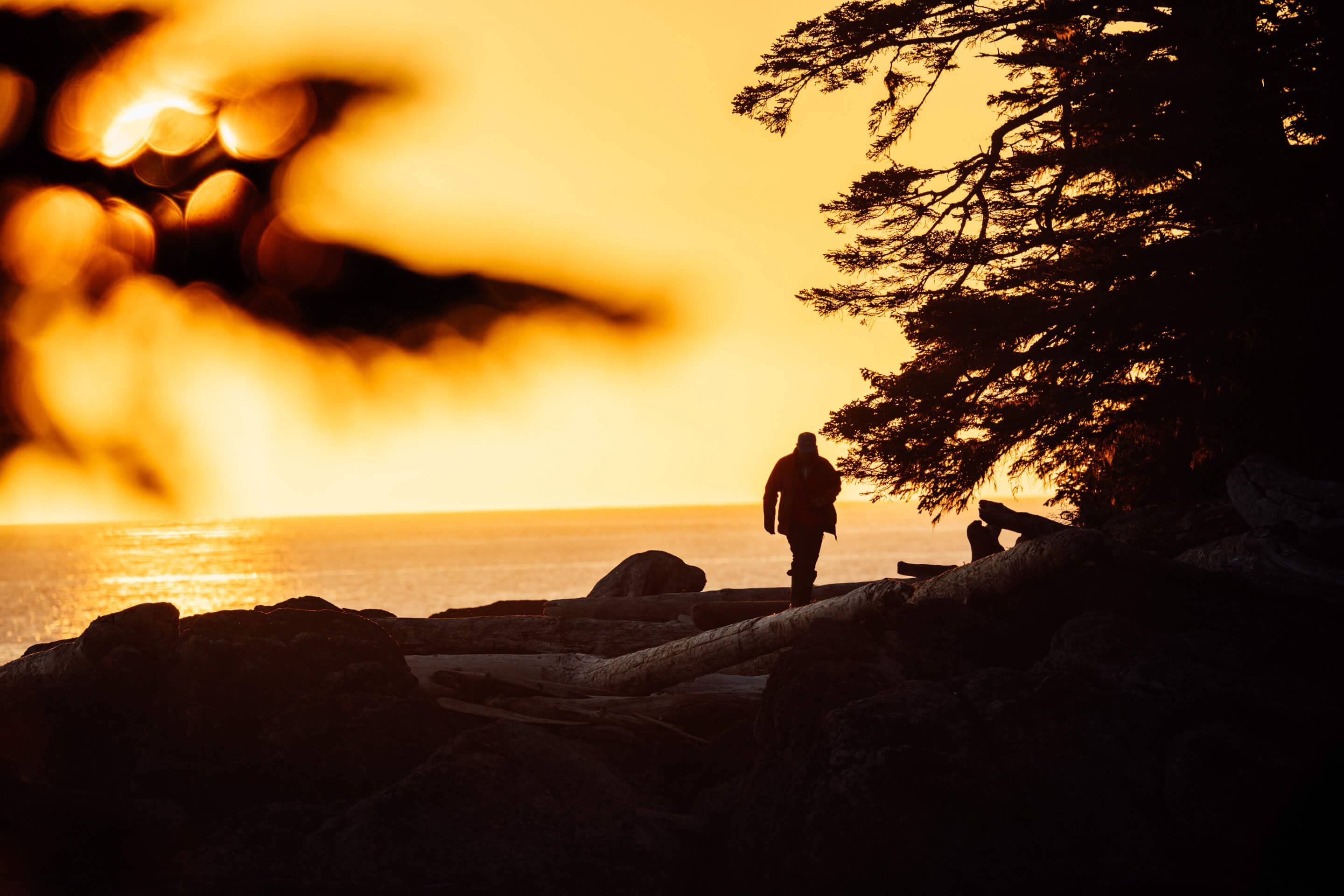 Wilderness International