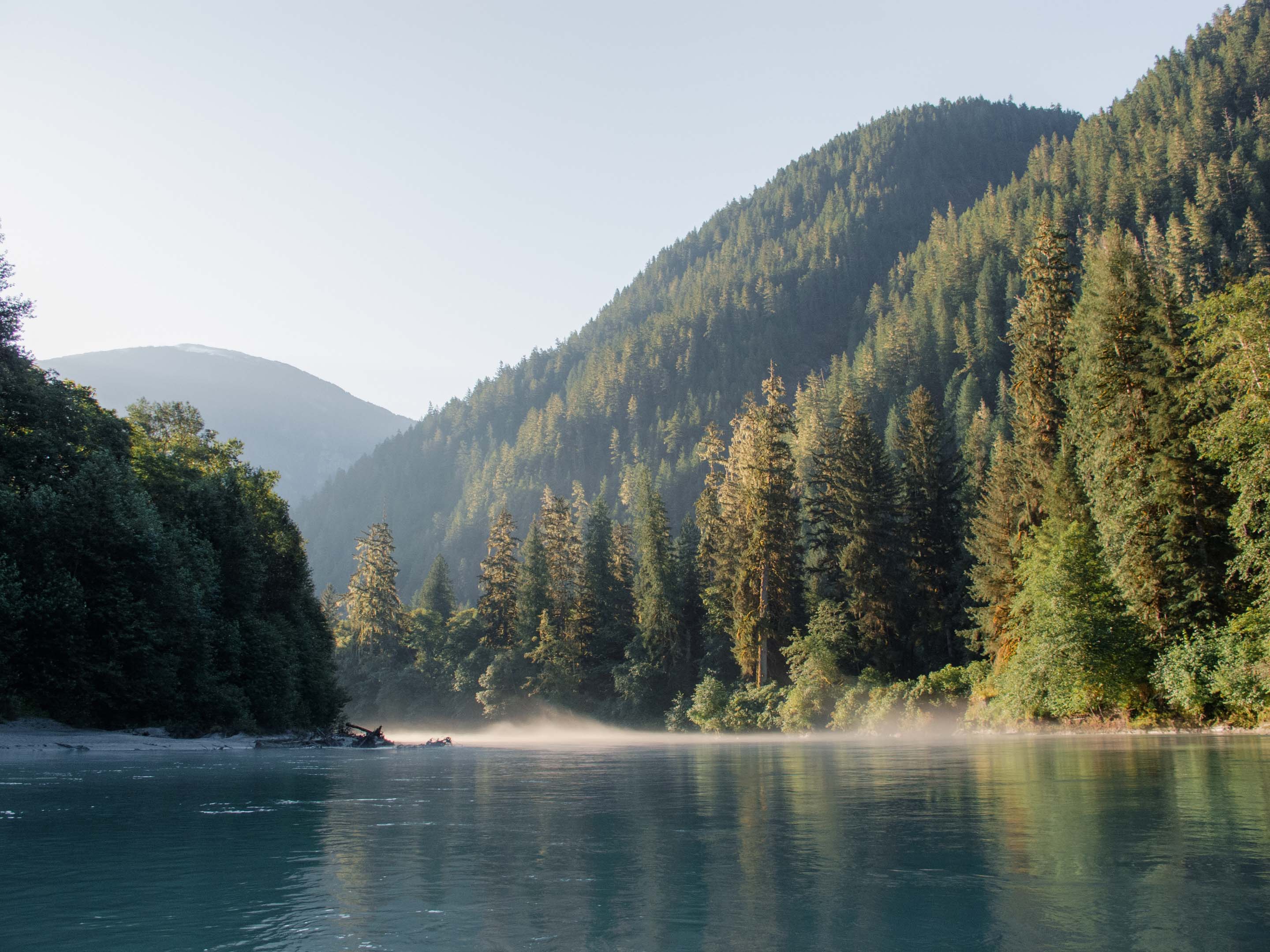 Wilderness International