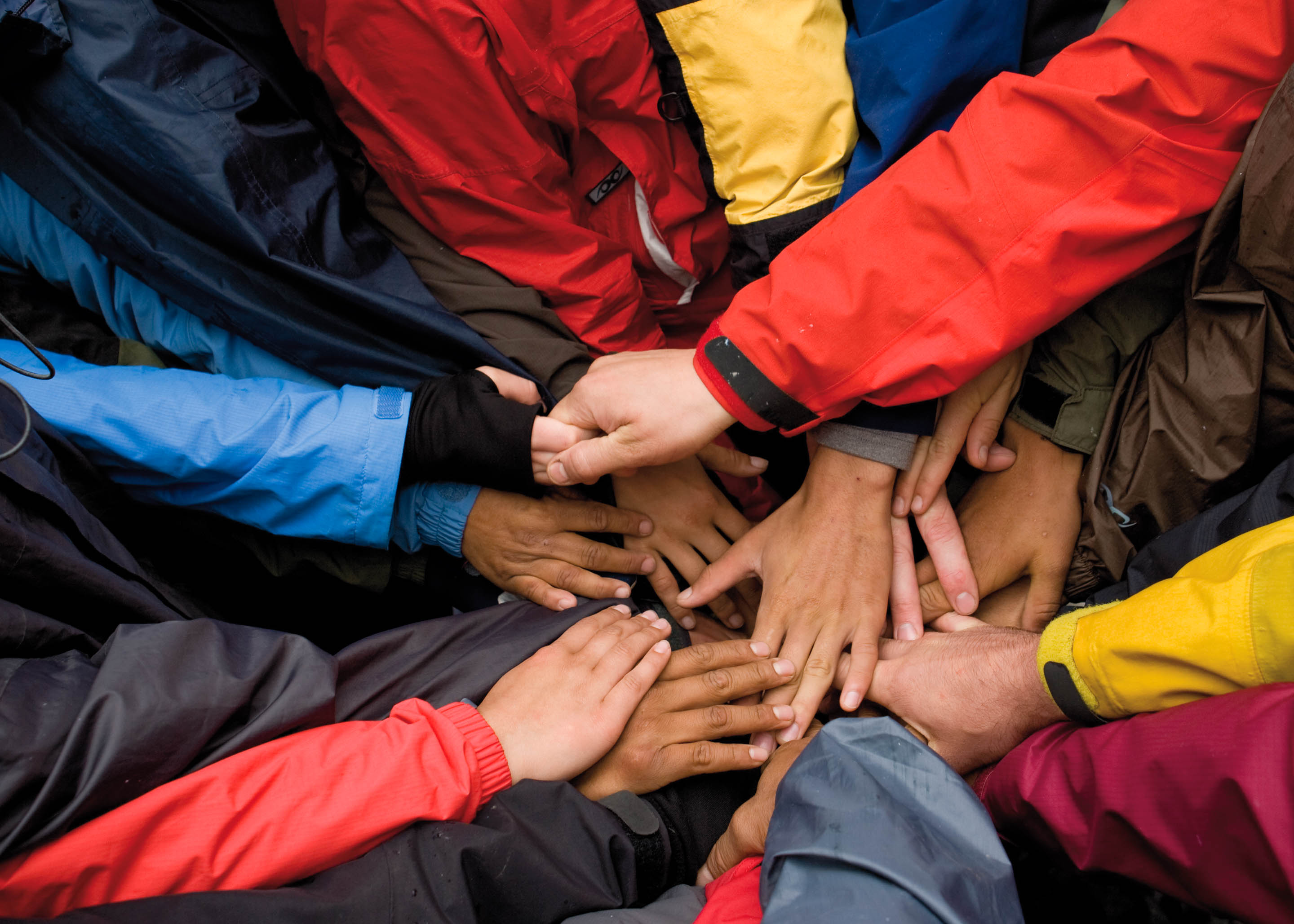 Together with our partners worldwide, we protect the last wilderness. 