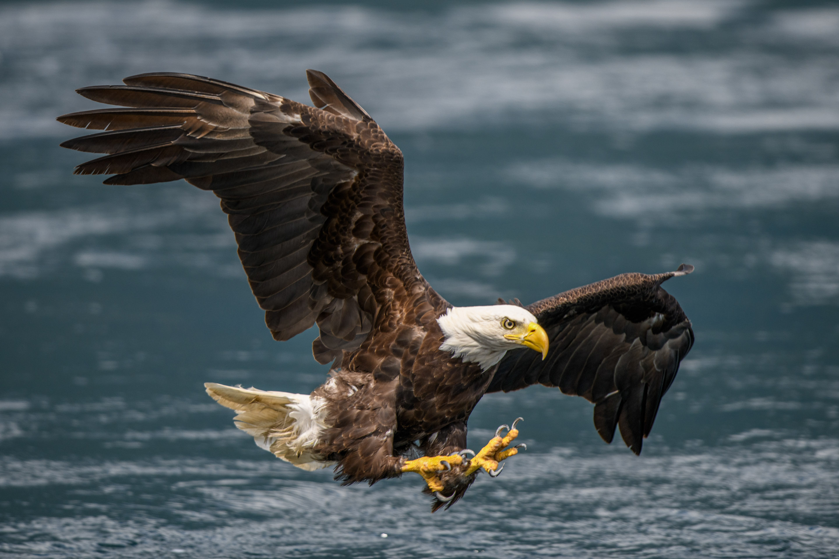 Wilderness International