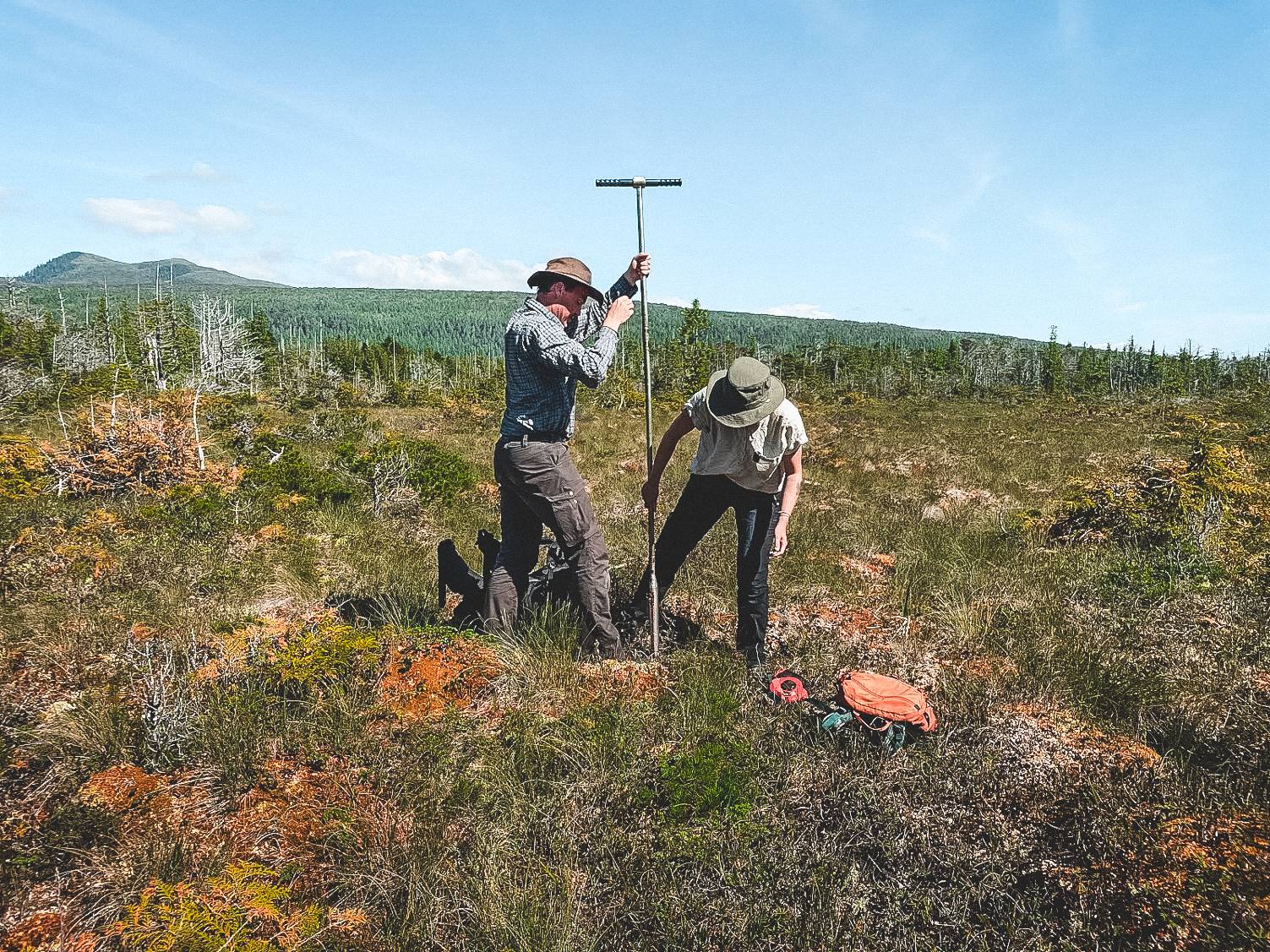 Wilderness International