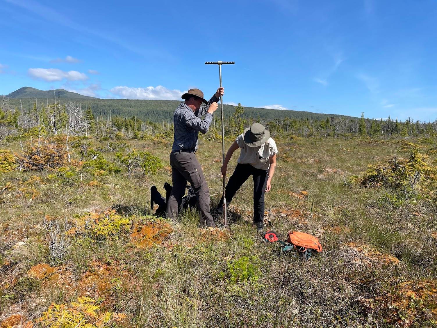 Wilderness International