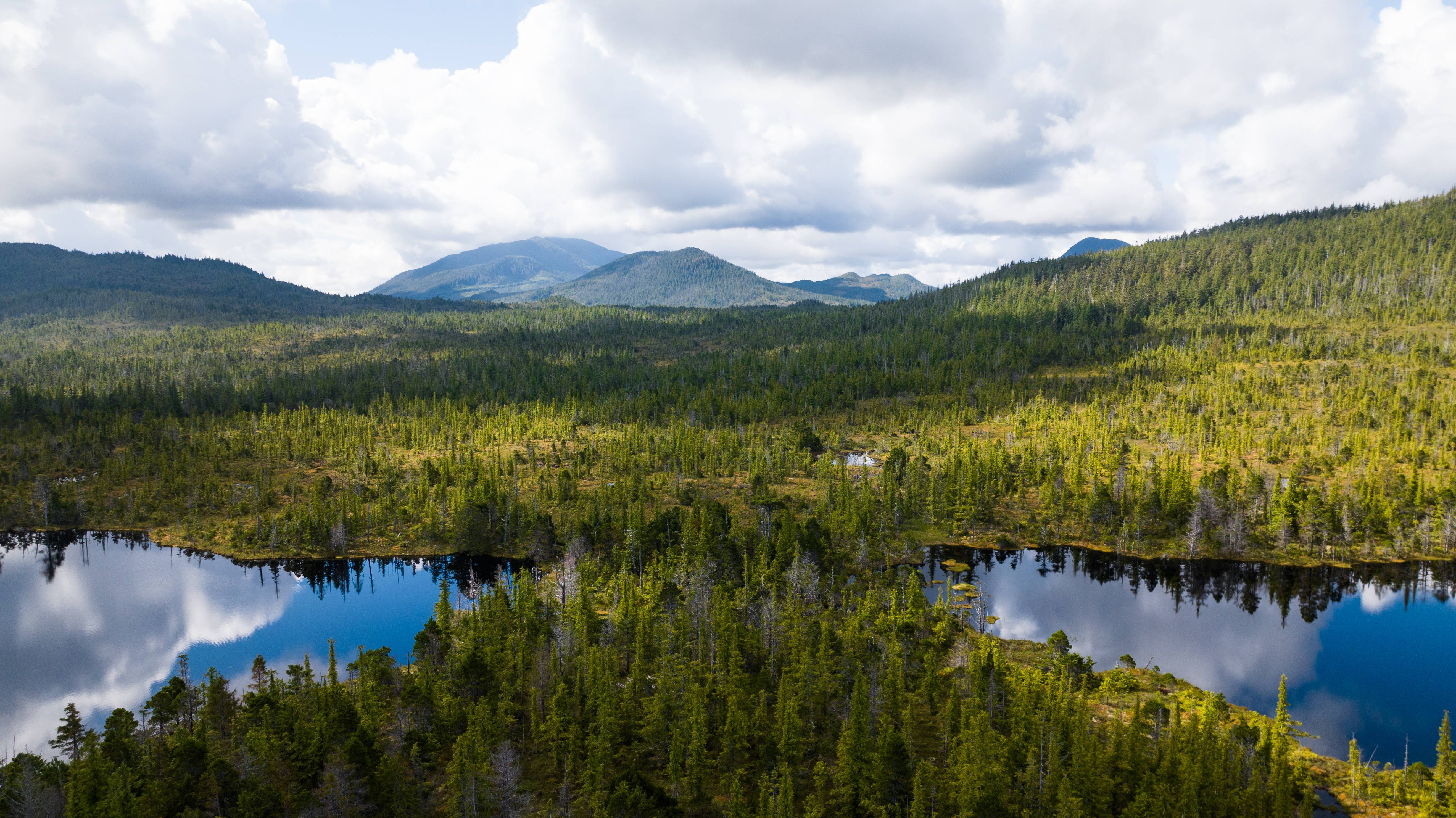 Wilderness International