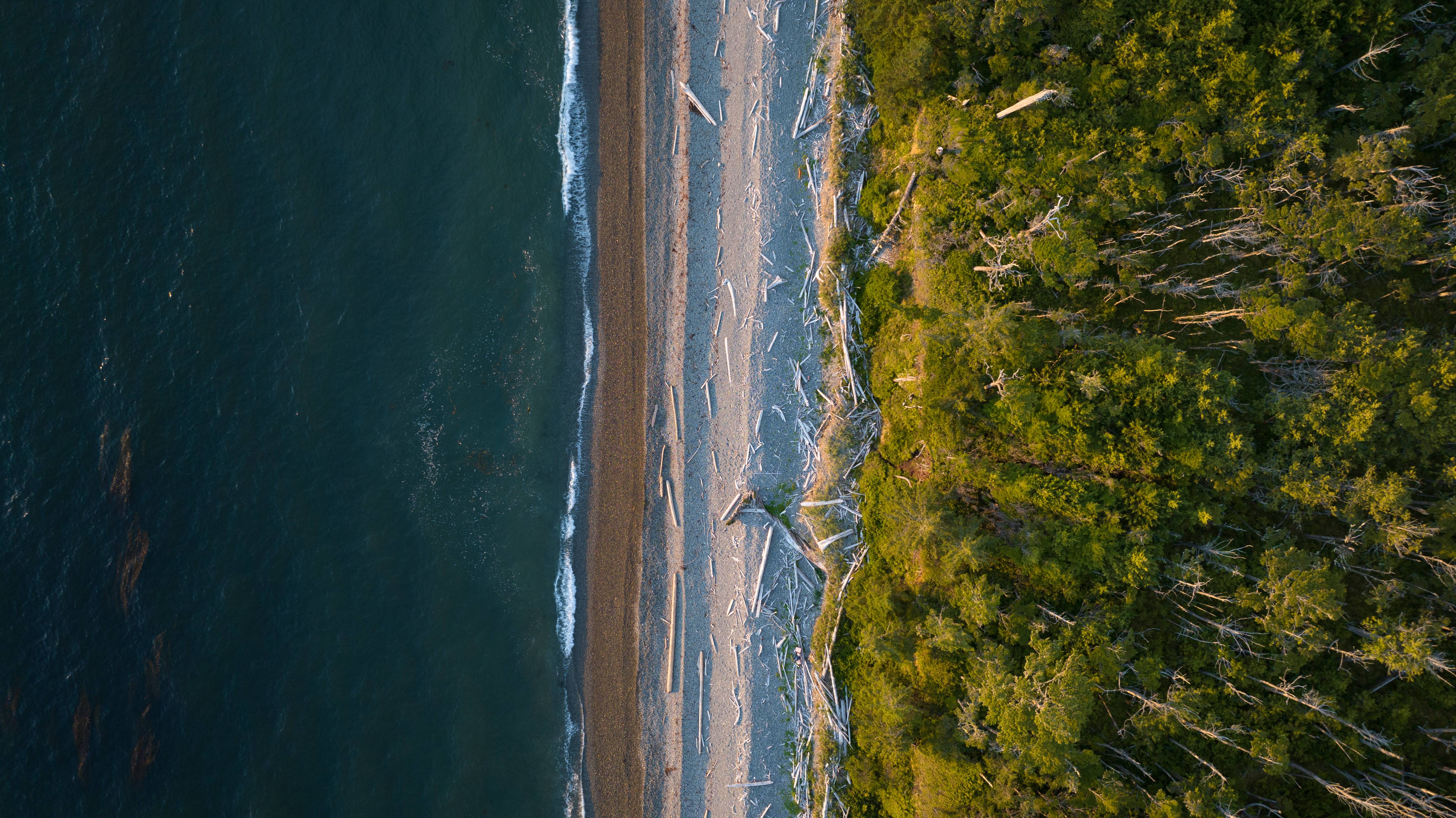 Wilderness International