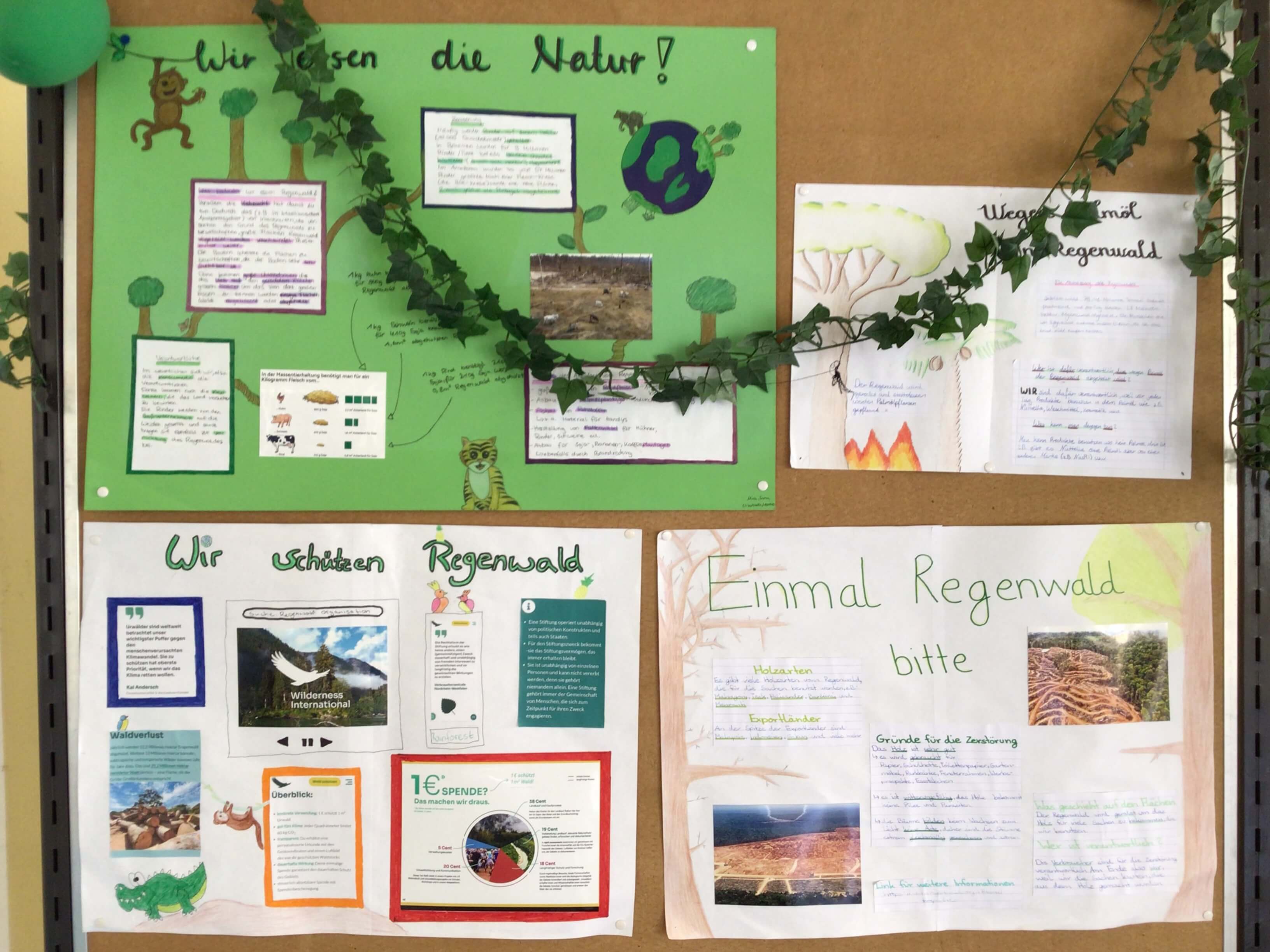 Wilderness International