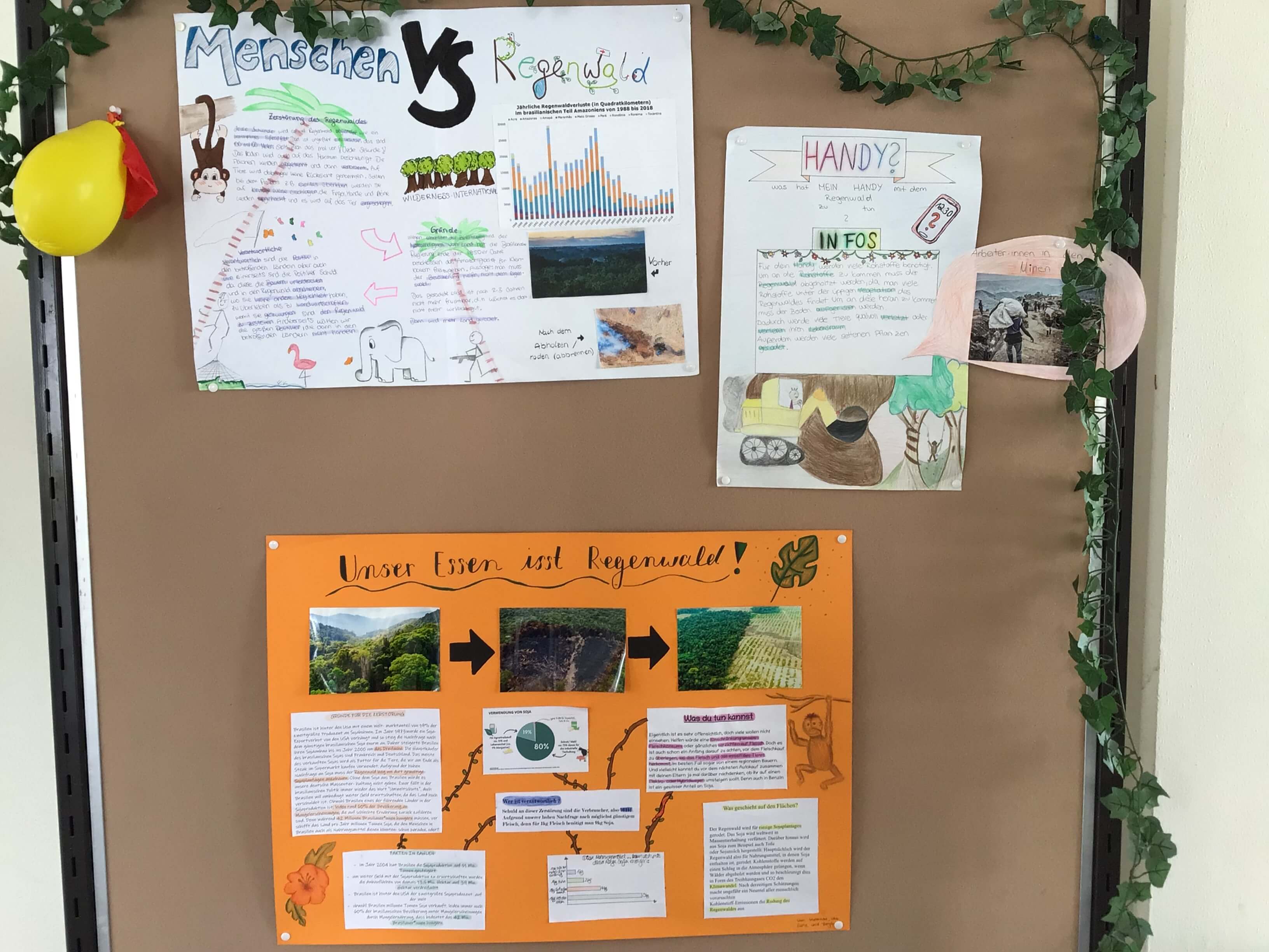 Wilderness International