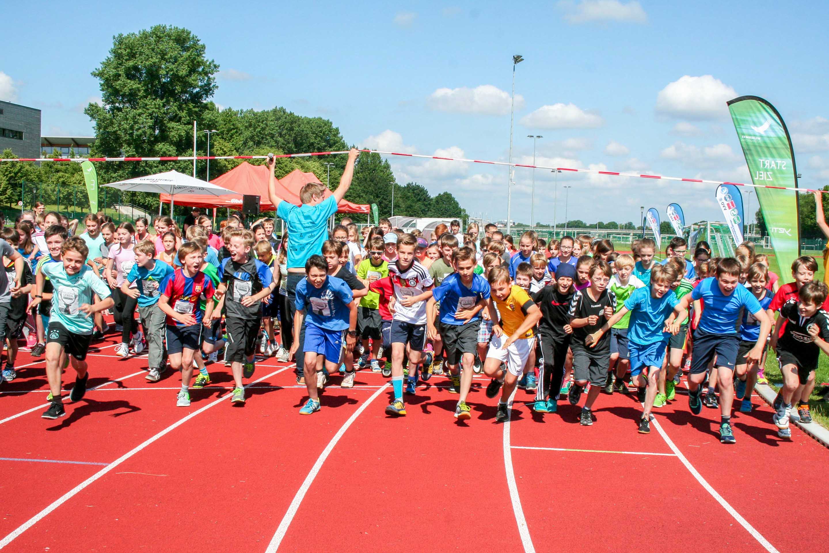 Start Wildnislauf Dresden 2016 Wildnislauf Dresden Juni 2016