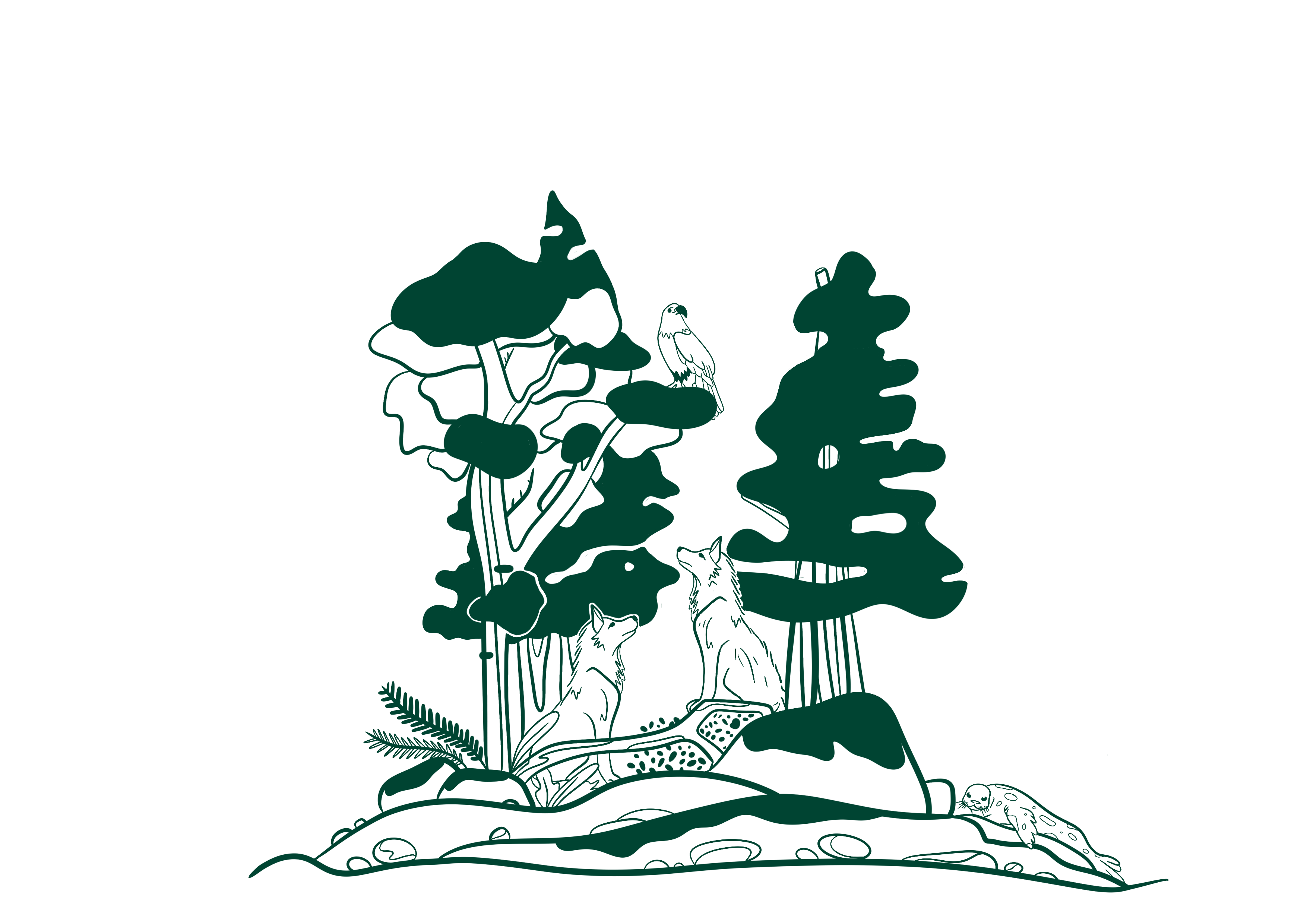 Wilderness International