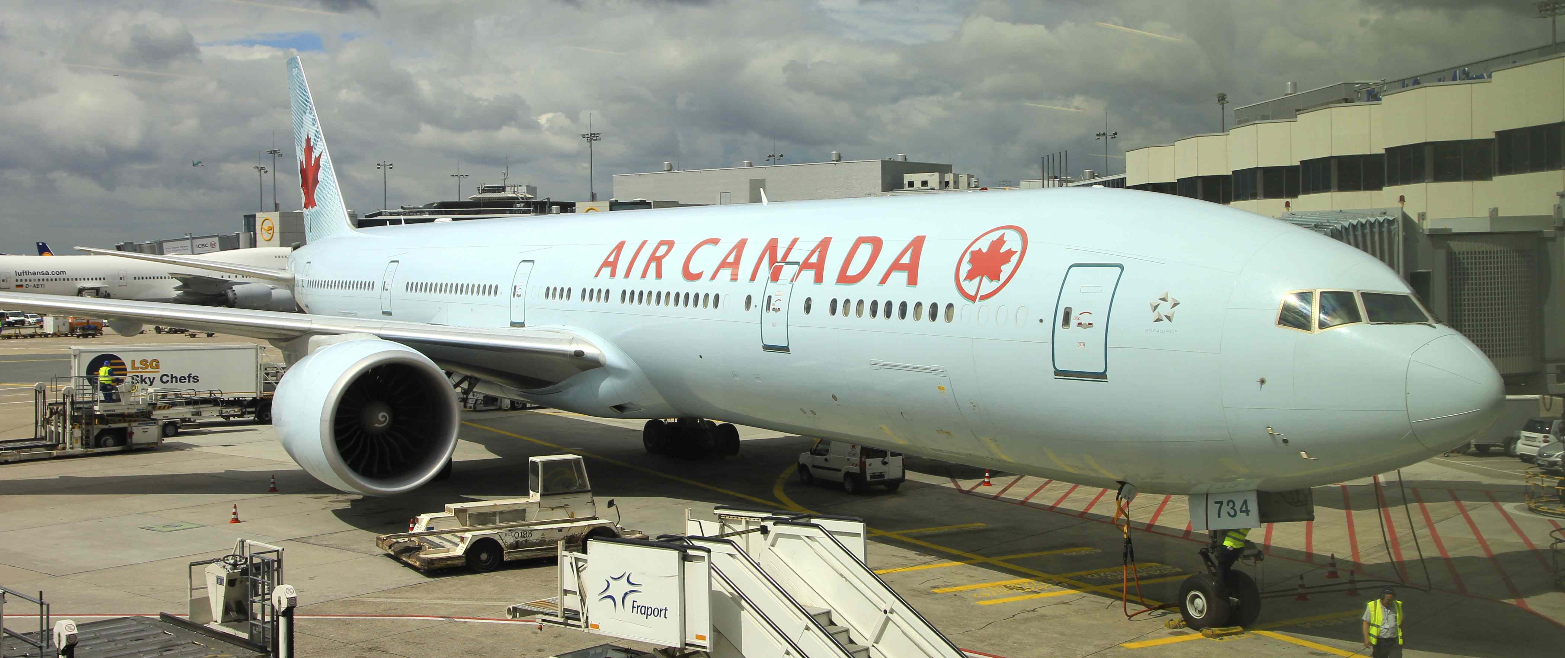 Wilderness International