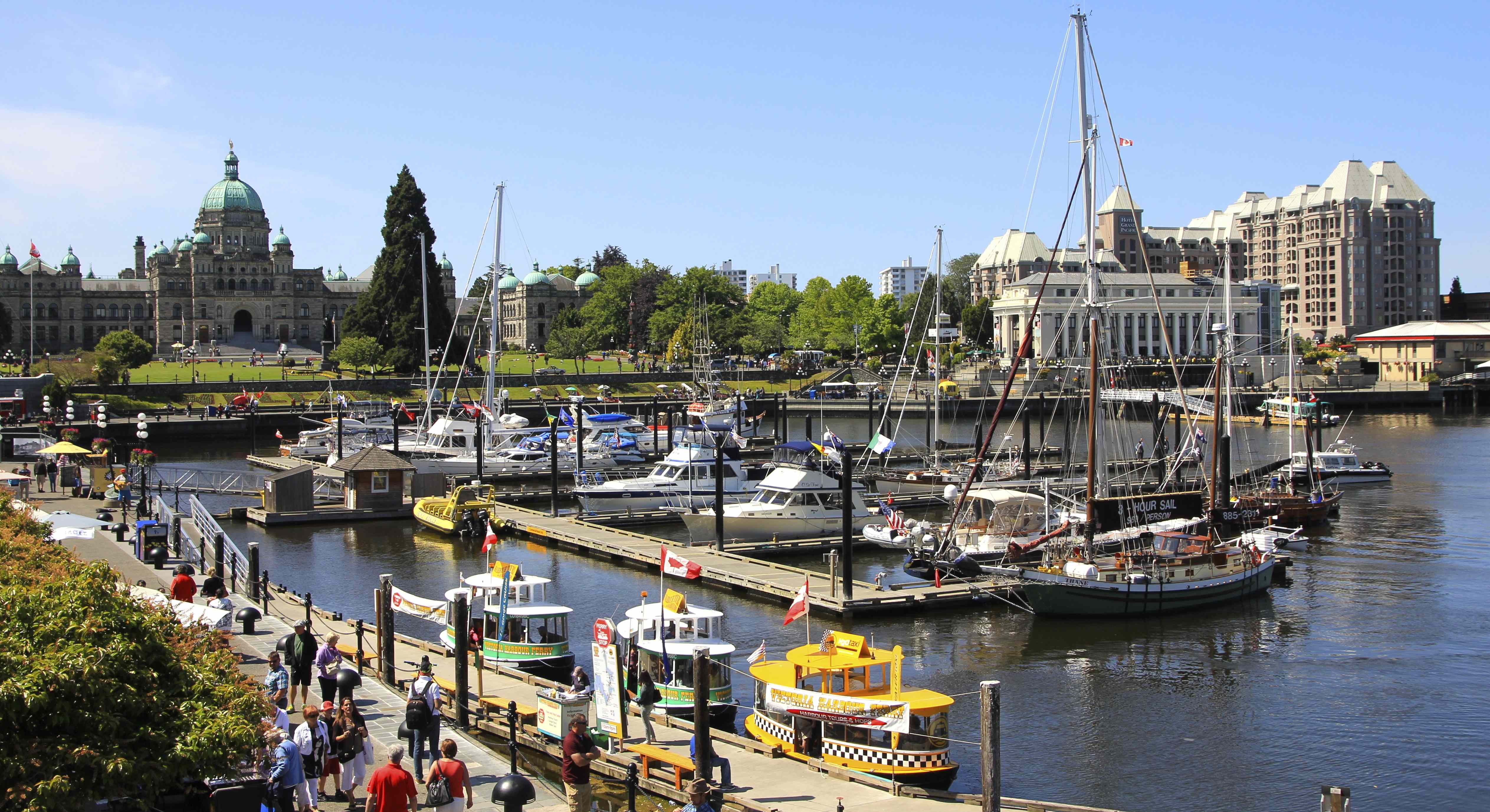 Wilderness International