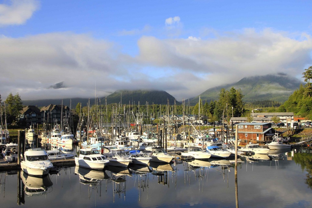 Wilderness International