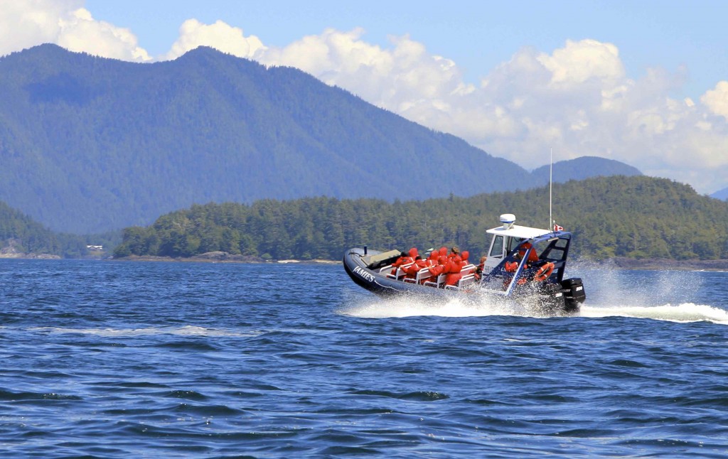 Wilderness International